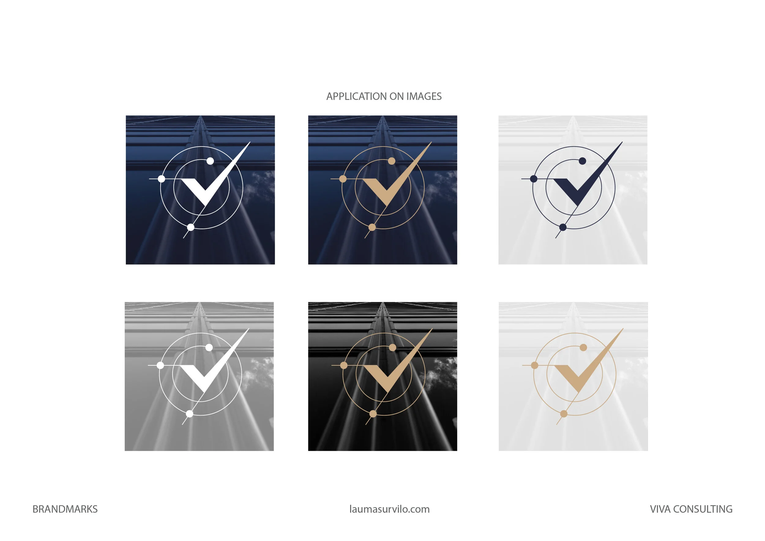 Lauma Survilo x Viva consulting_application.jpg