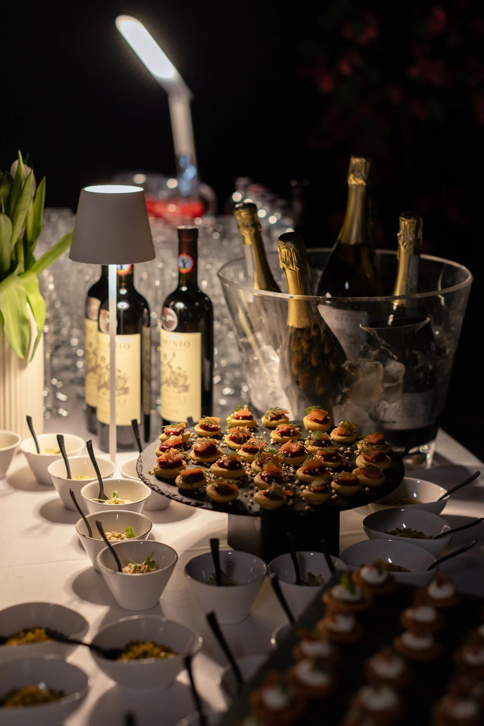 Portal series 25 - lauma survilo - vernissage (42).jpg