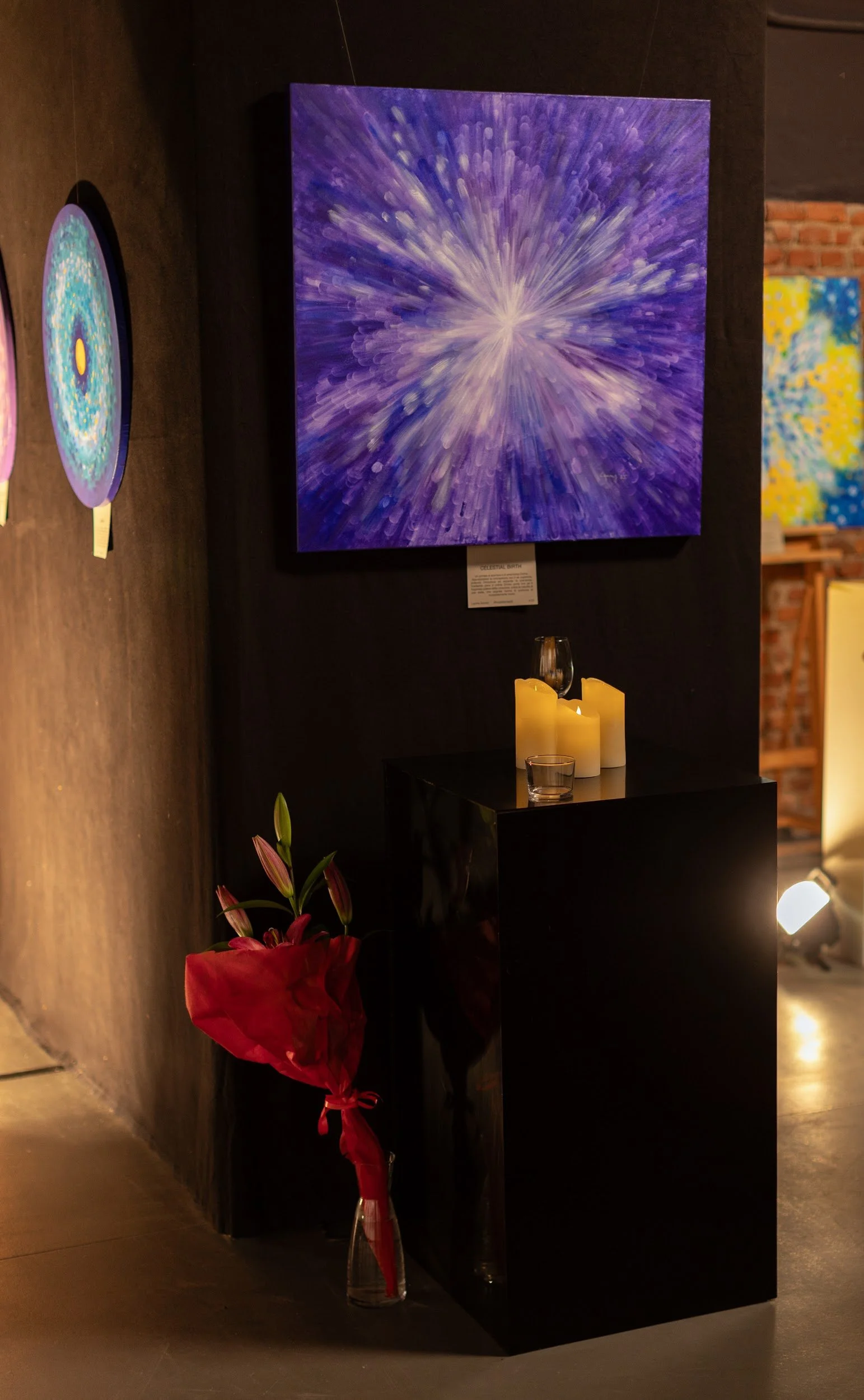 Portal series 25 - lauma survilo - vernissage (96).jpg