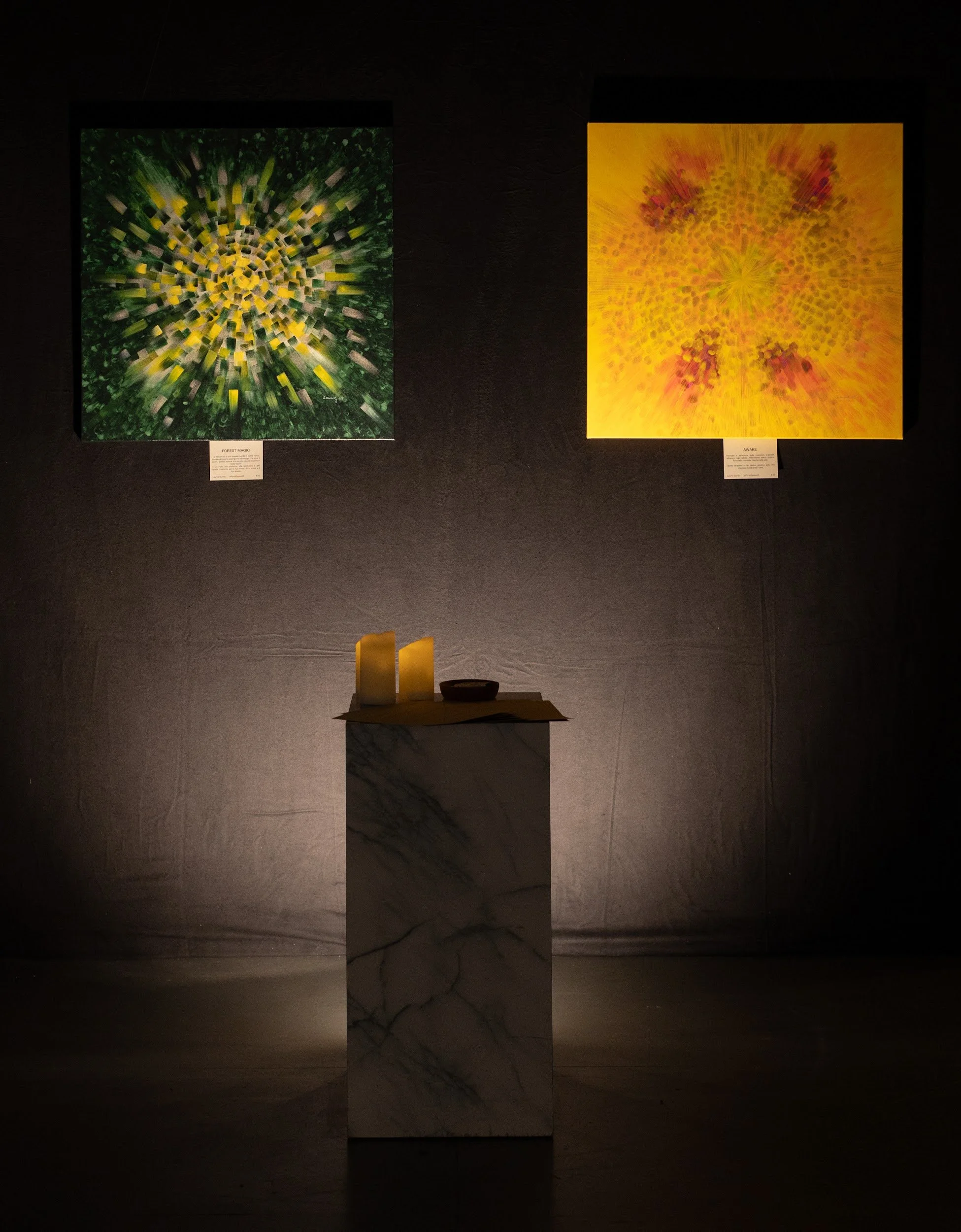 Portal series 25 - lauma survilo - vernissage (102).jpg