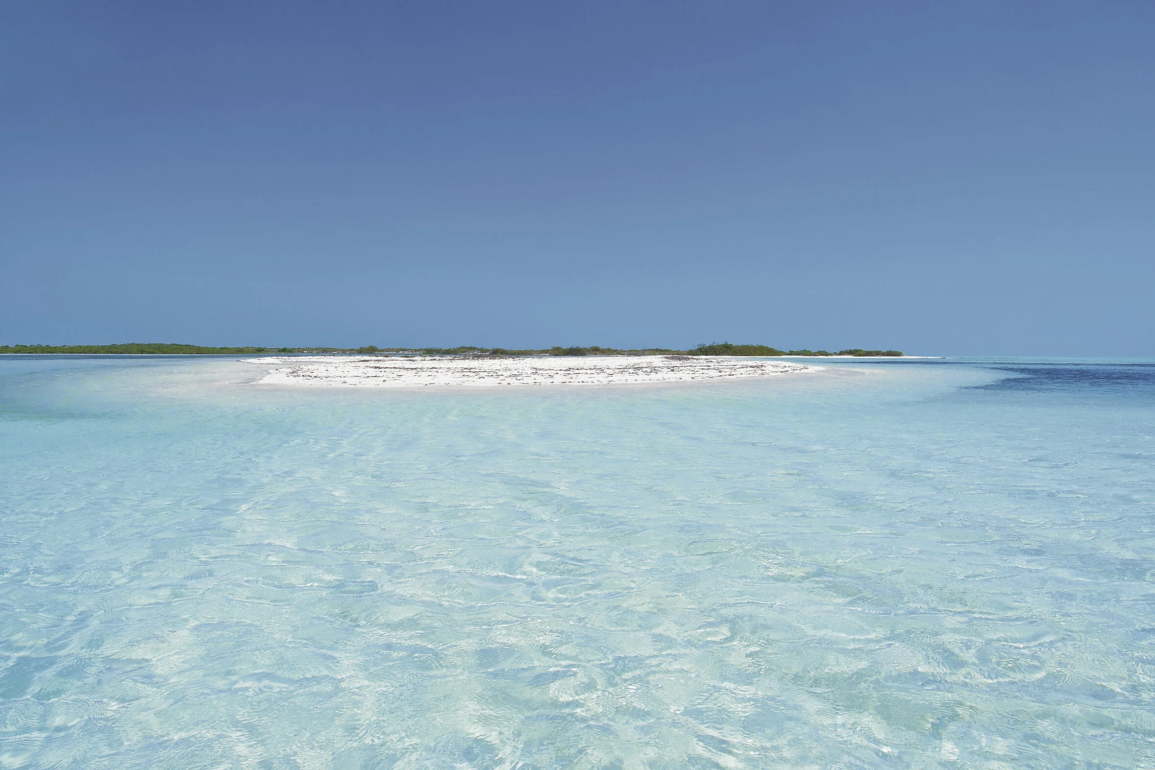 Remote Beach KIM MORTIMER.jpg