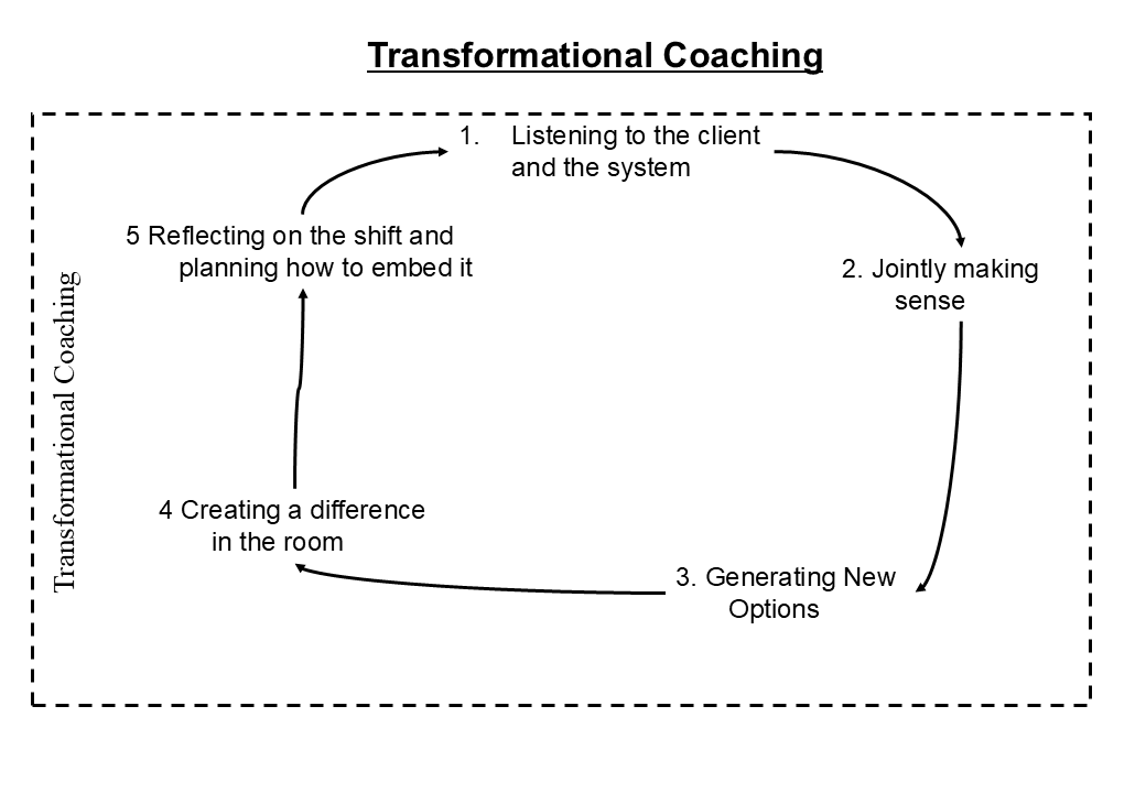 Coaching a senior leadership team to lead systemic change