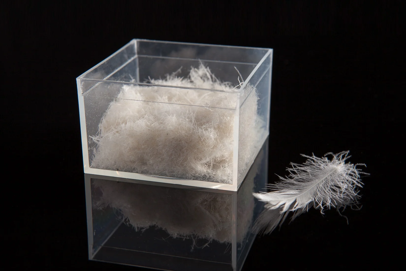 Our cleaning processes removes quill pith, fragments, trash, dust, dirt and other foreign matter from down and feather.