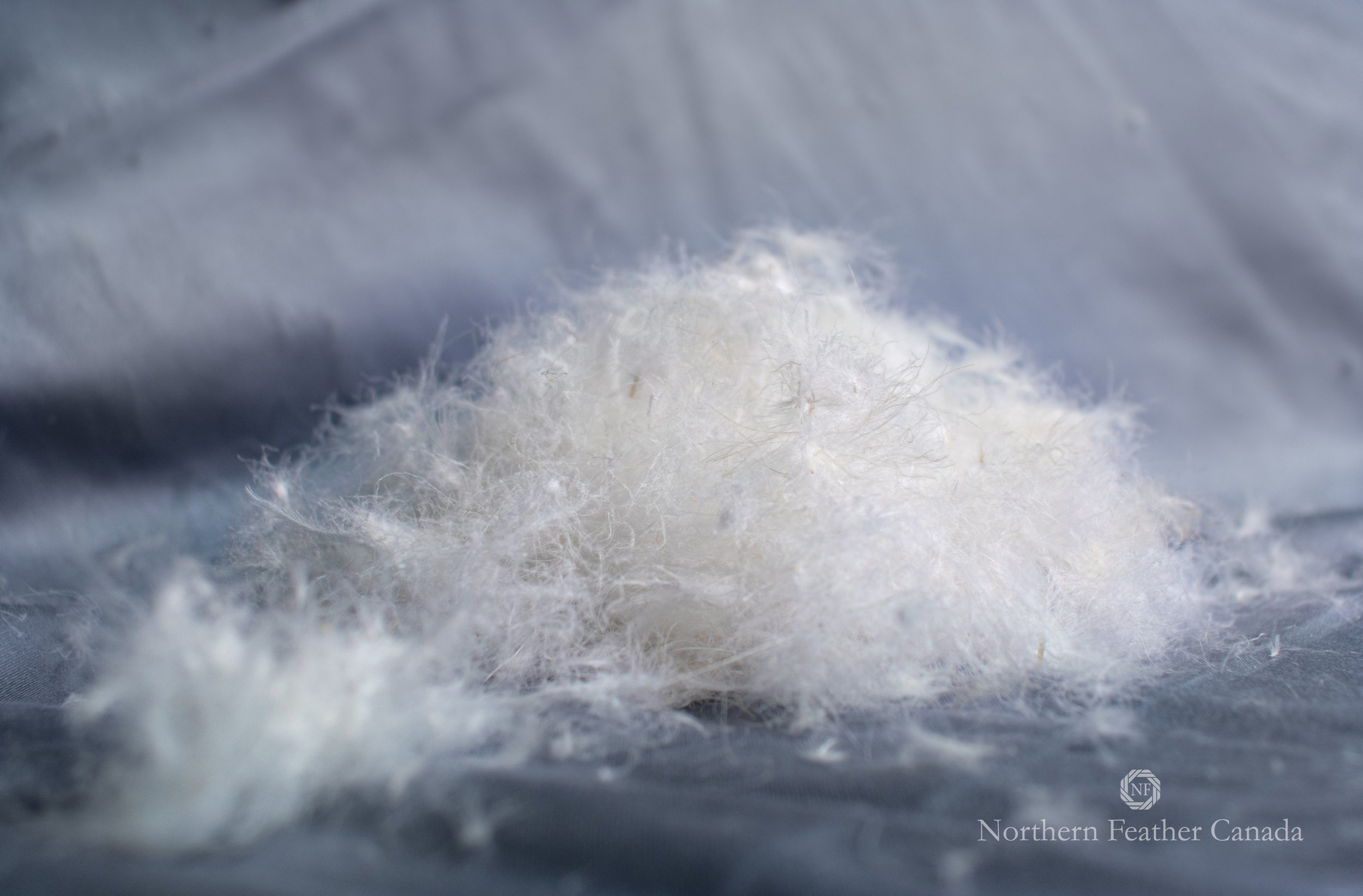 White Down Blanket — Northern Feather Canada