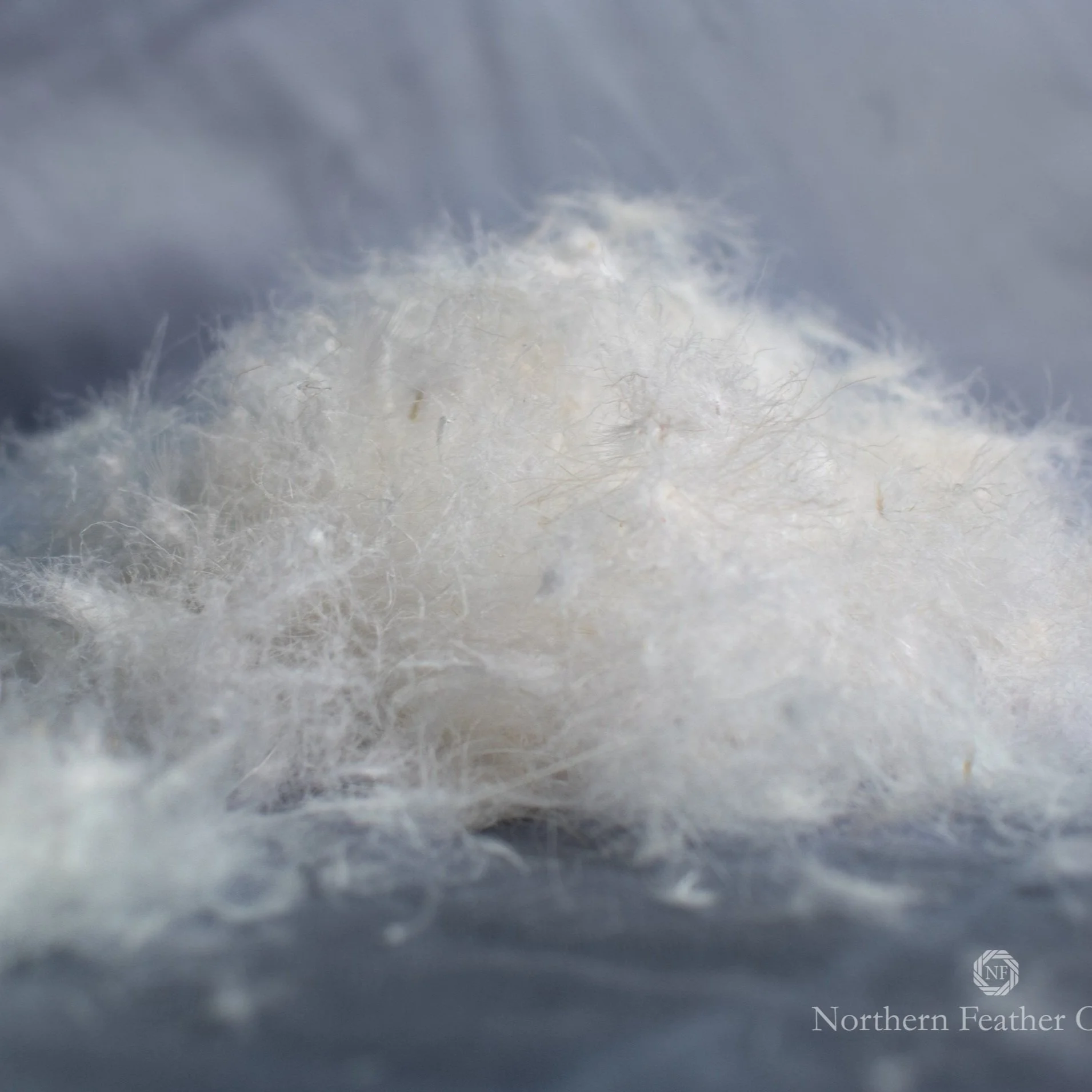 Goose down material best sale