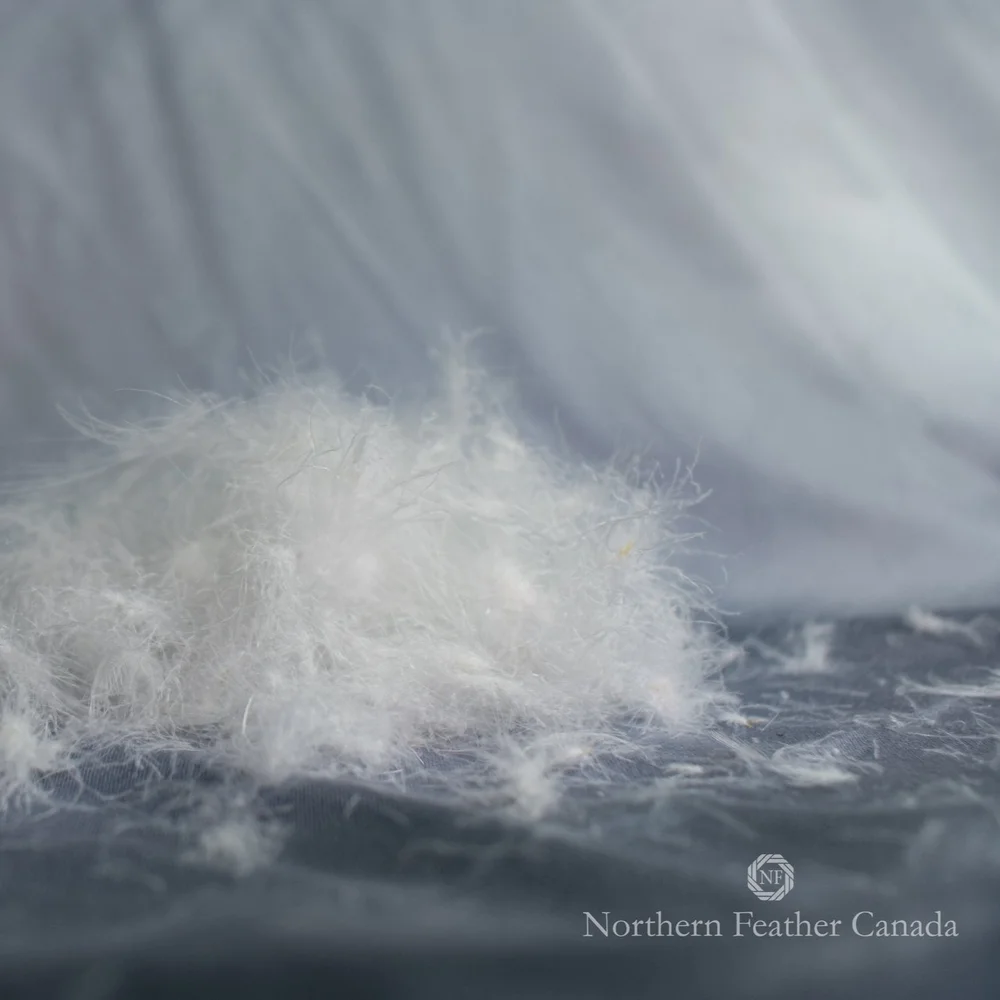 White Goose Down Duvet — Northern Feather Canada