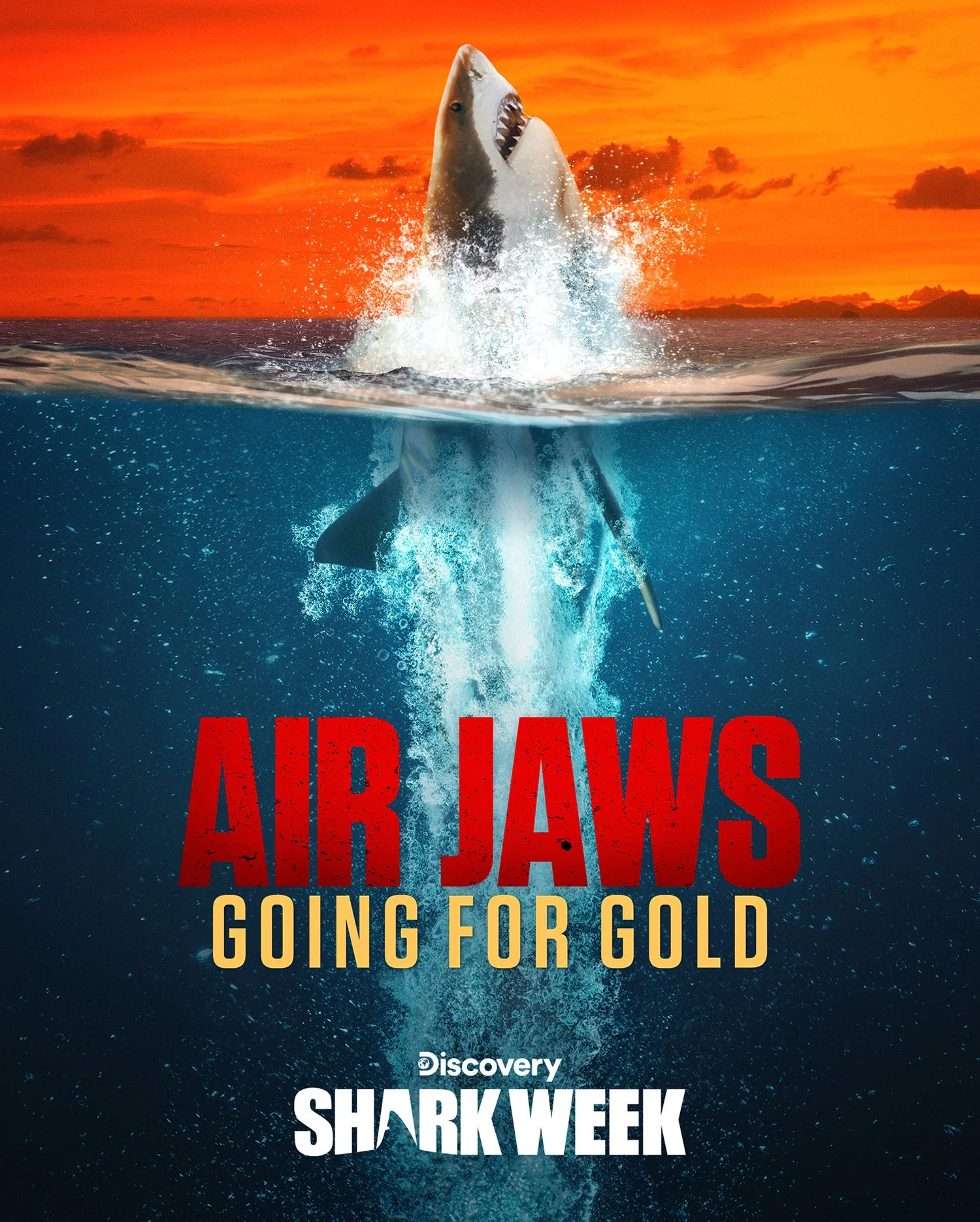 AJ-GoingForGold_DSC_VERT_web.jpg
