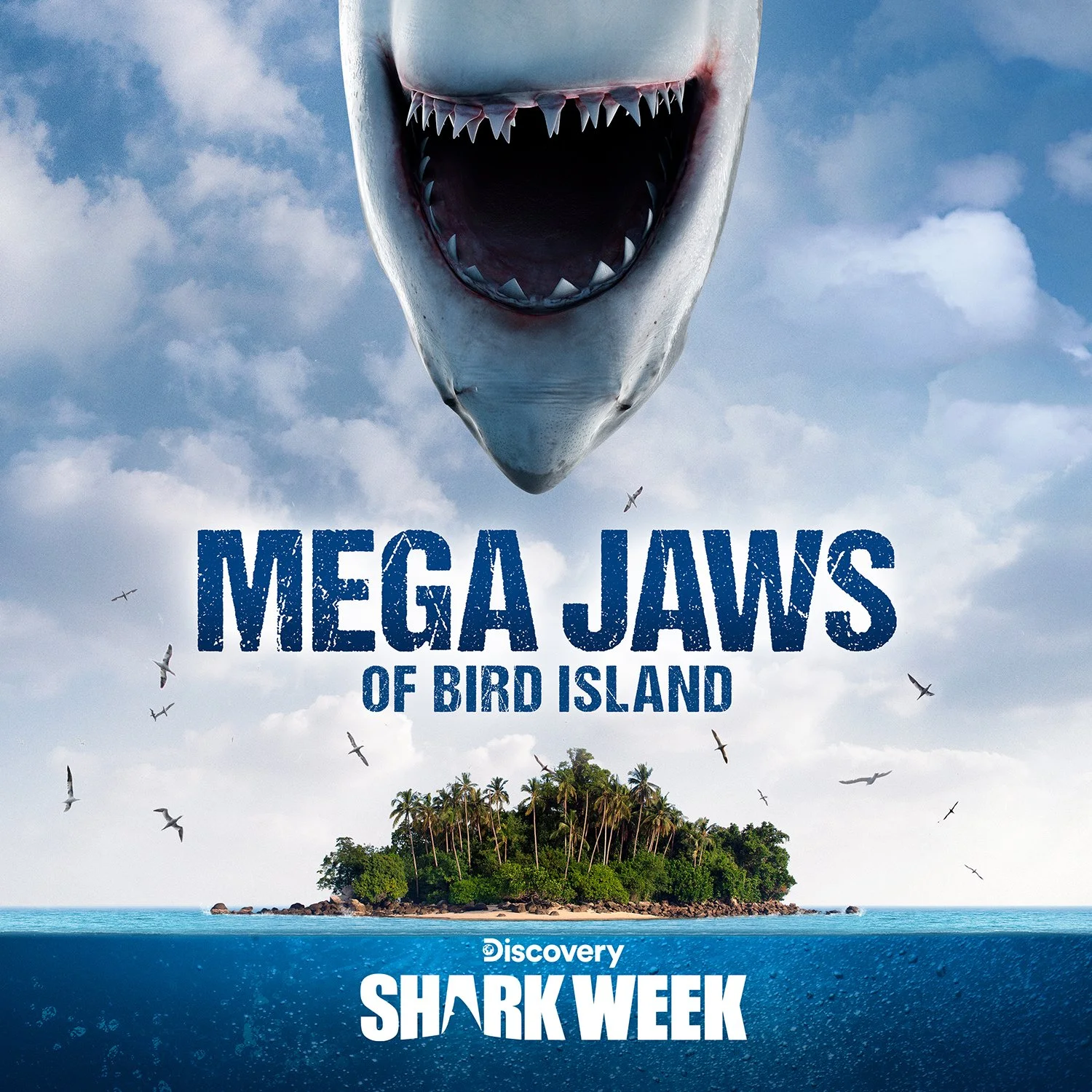 Mega_Jaws_DSC_SQR_web.jpg