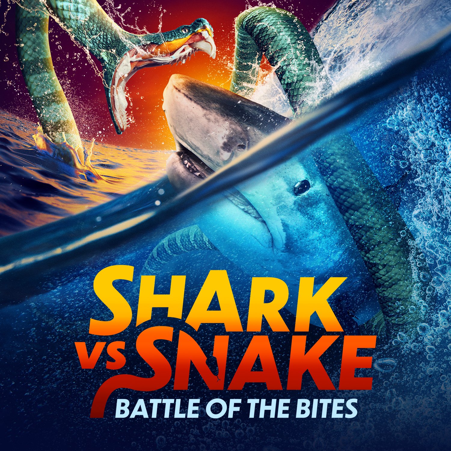 Shark-vs-Snake_DSC_SQR_web.jpg