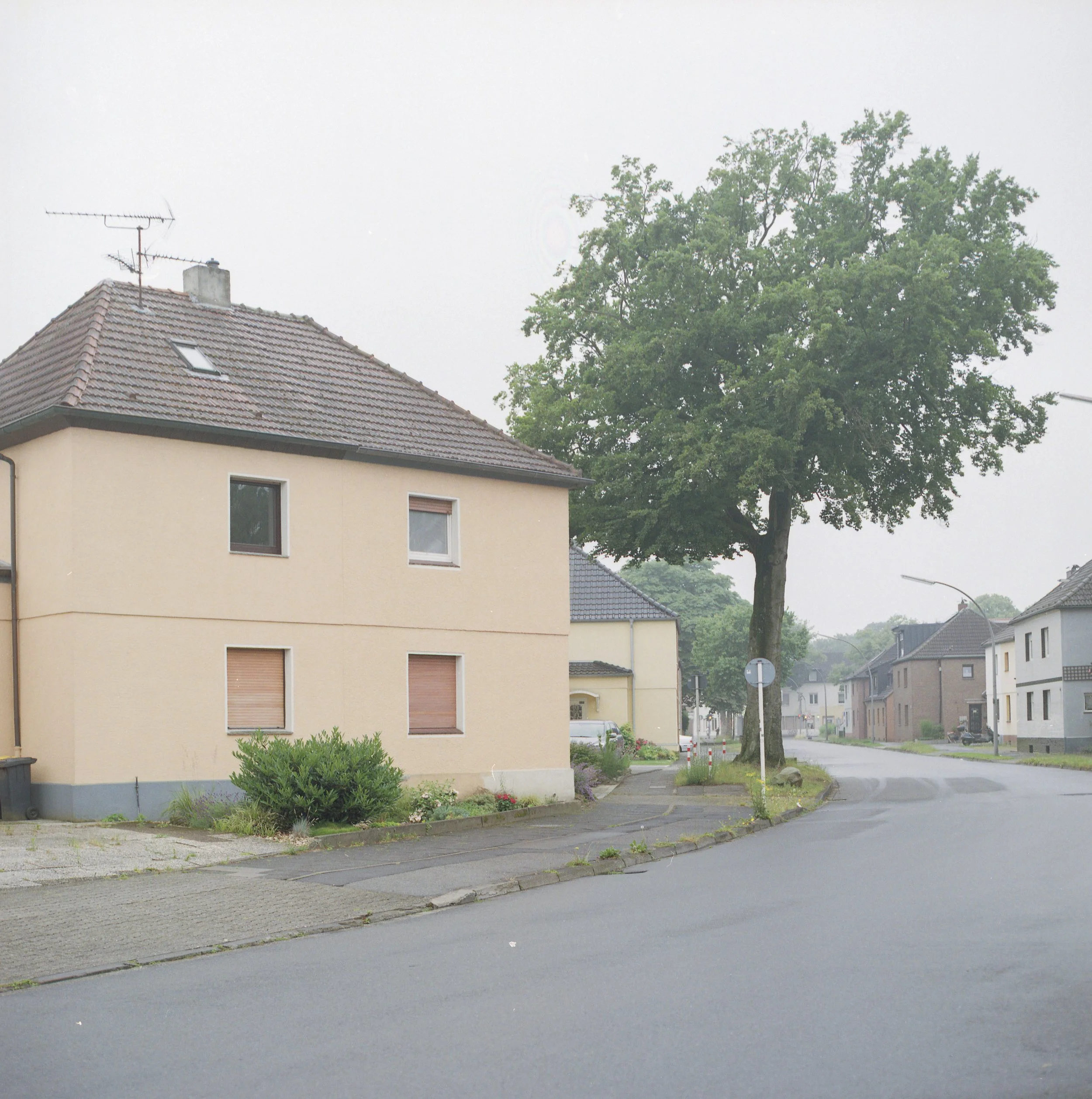 scan333.jpg