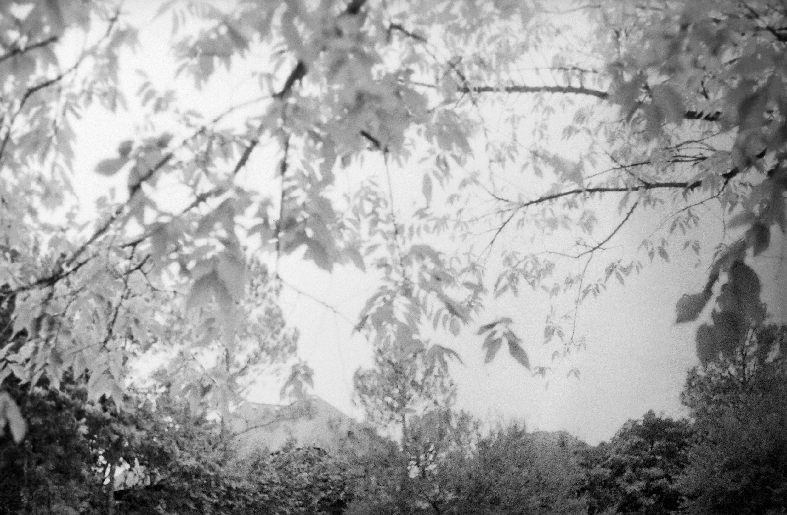 Thye_20201018_054 2.jpg
