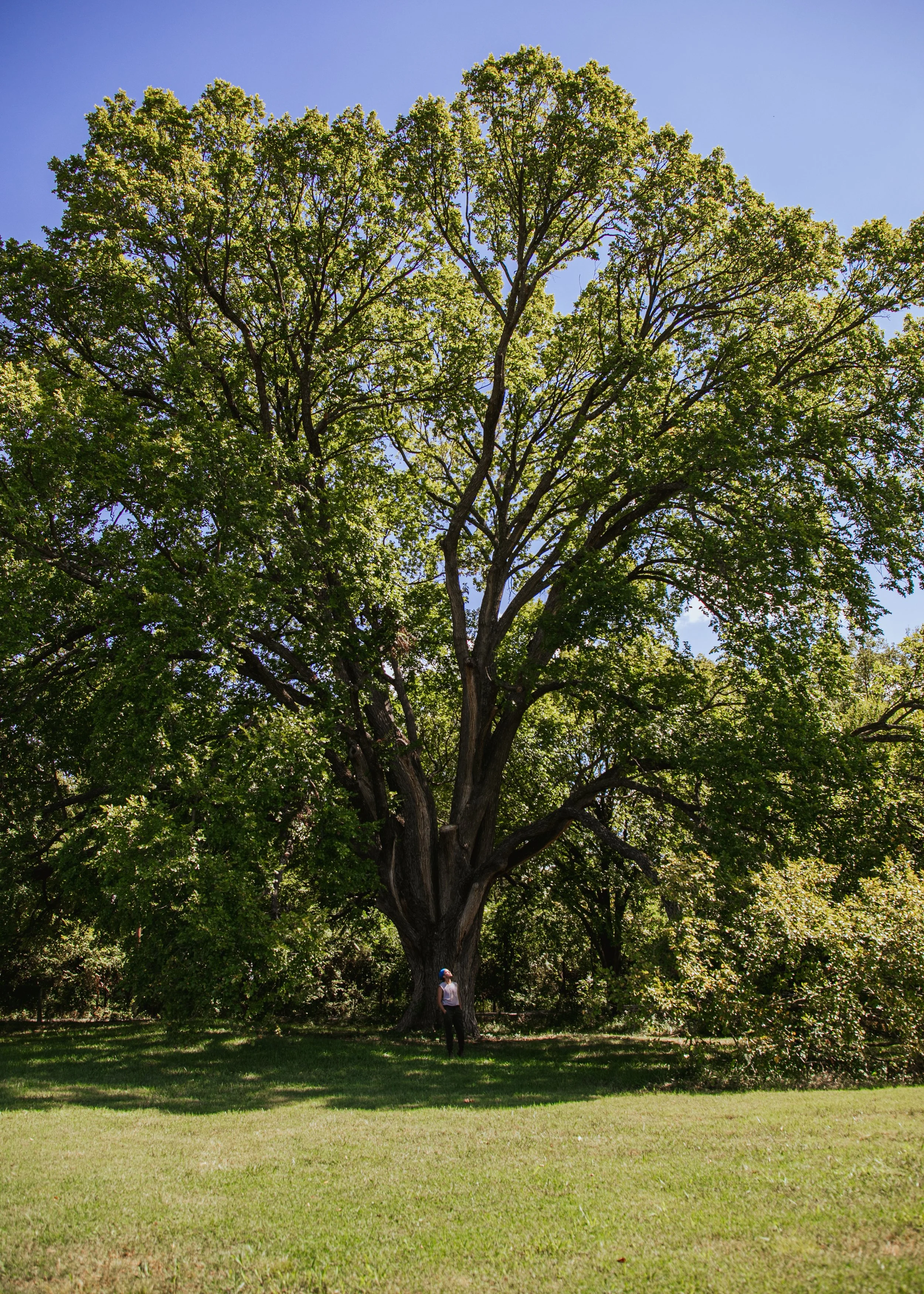 2 Thye_20230926_348 *.jpg