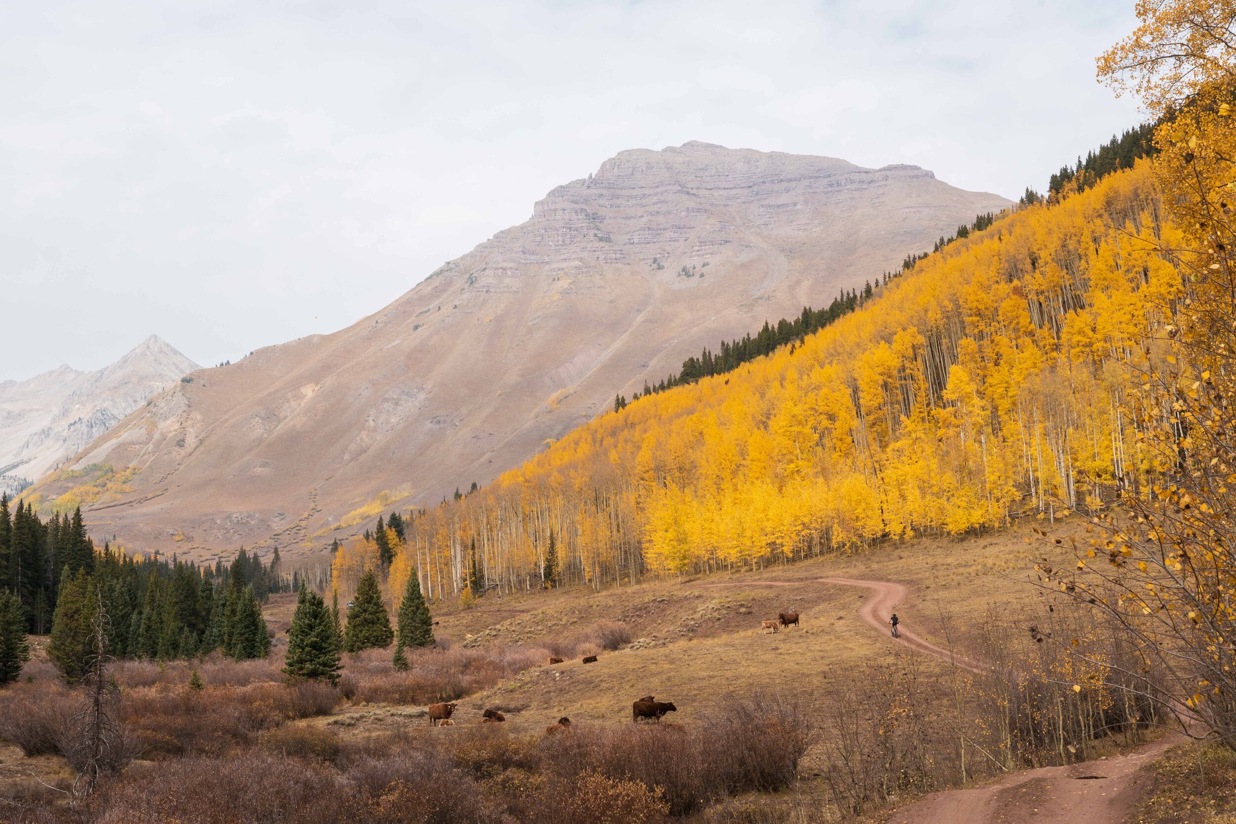 Aspen, CO