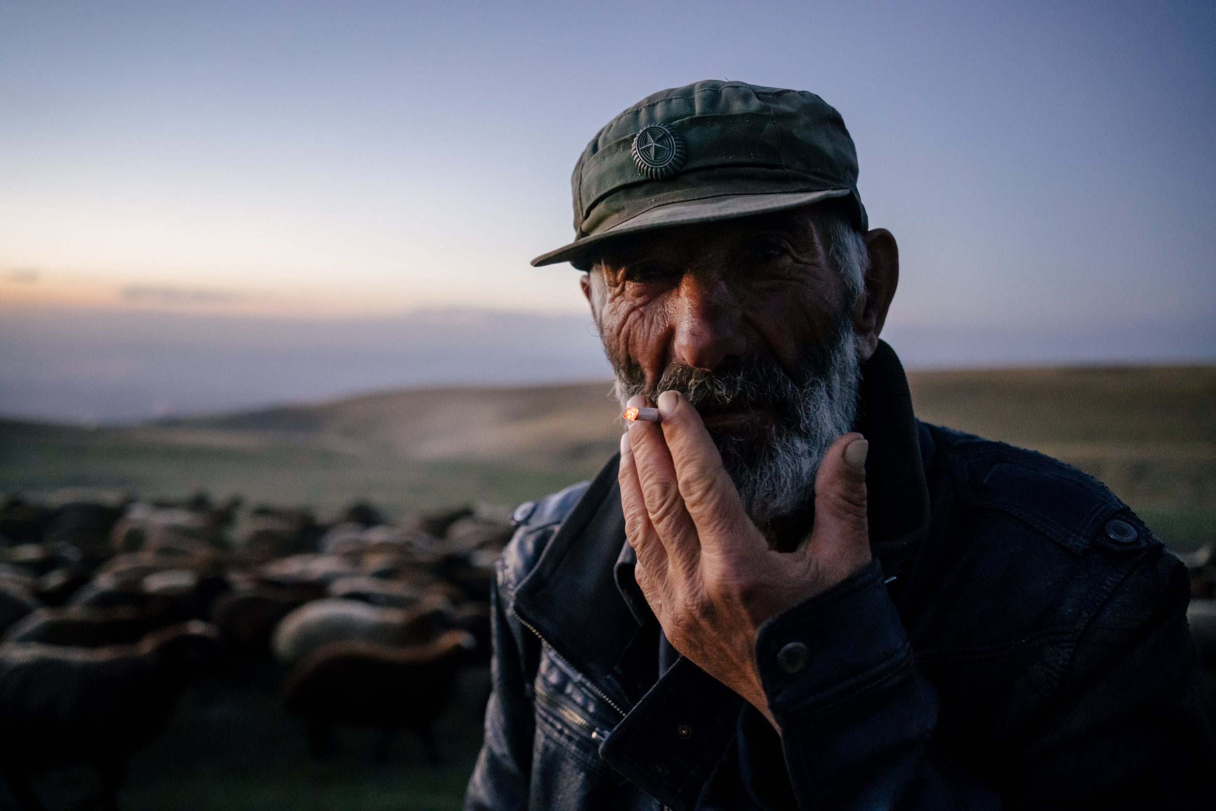 Yazidi Shephard, Armenia