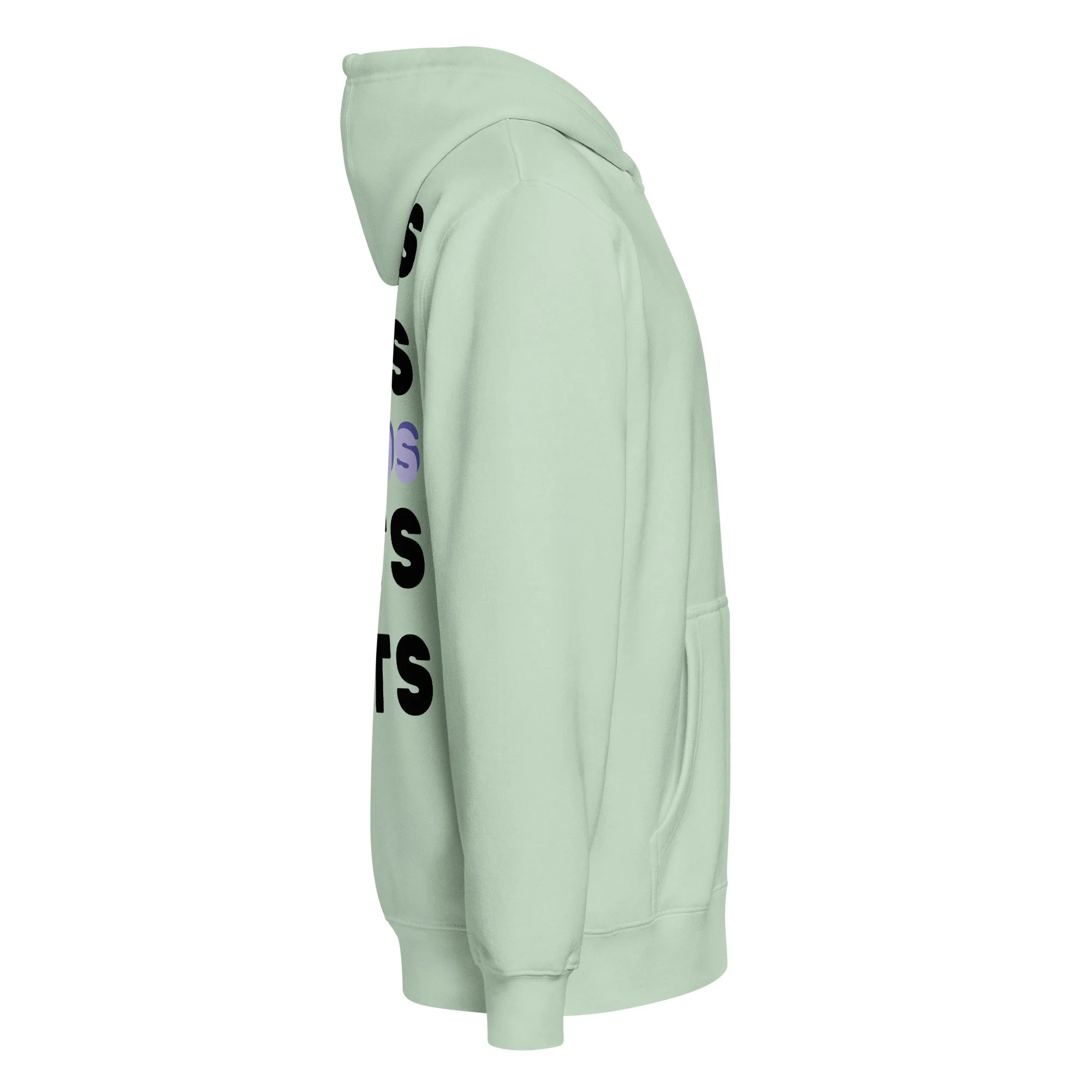 lane-seven-ls14003-i-premium-full-zip-hoodie-seafoam-right-692a105eb4da7.jpg