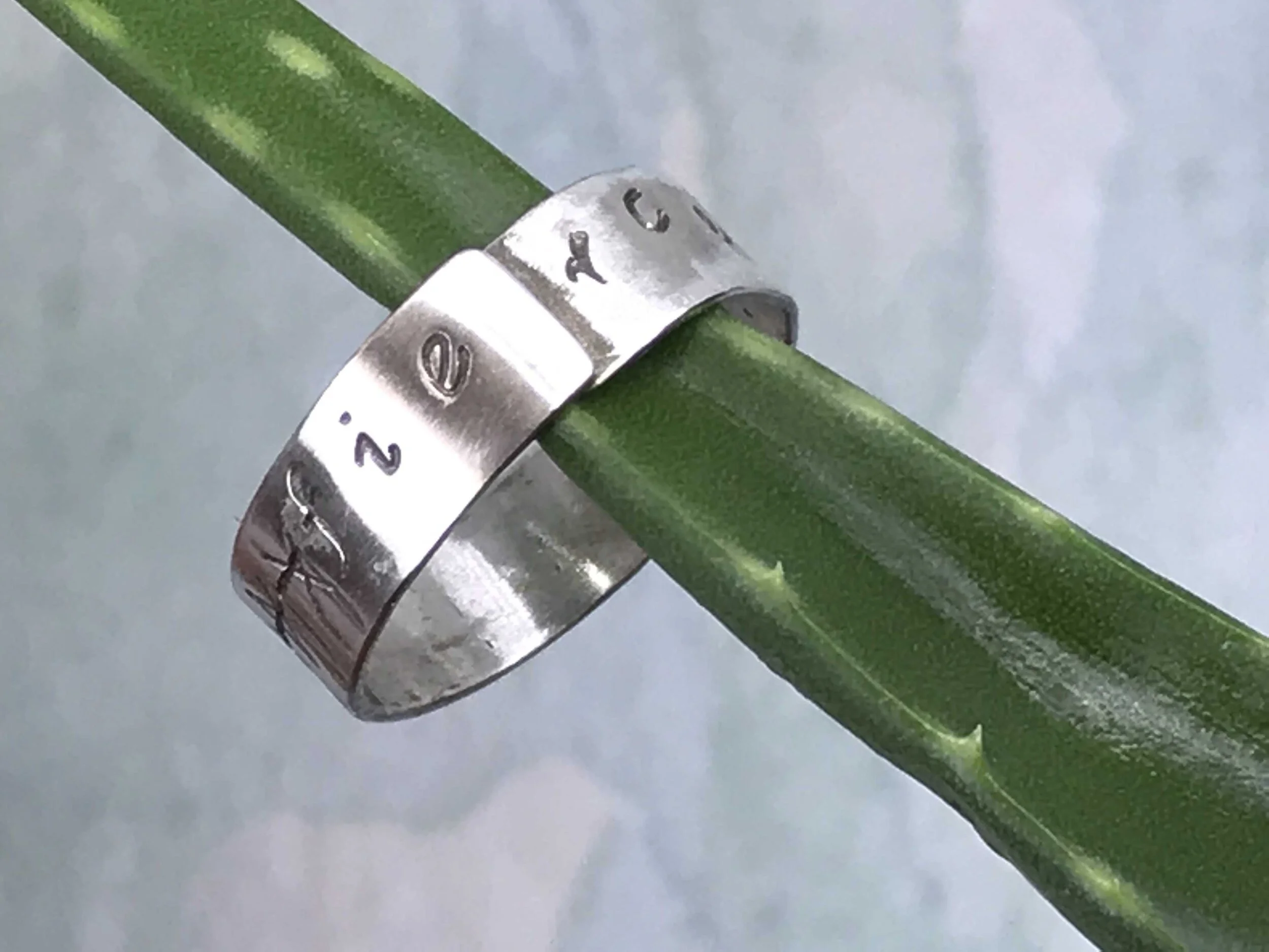 FIERCE silver split ring    Item #400 R