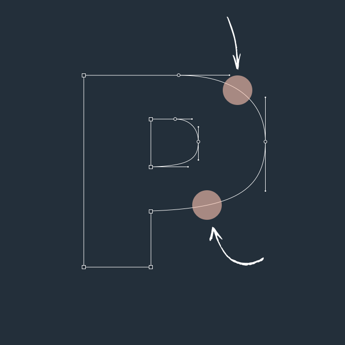 custom-type-section.png