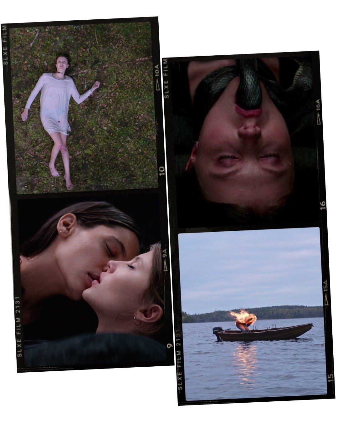 Norwegian Cinema: Thelma Review