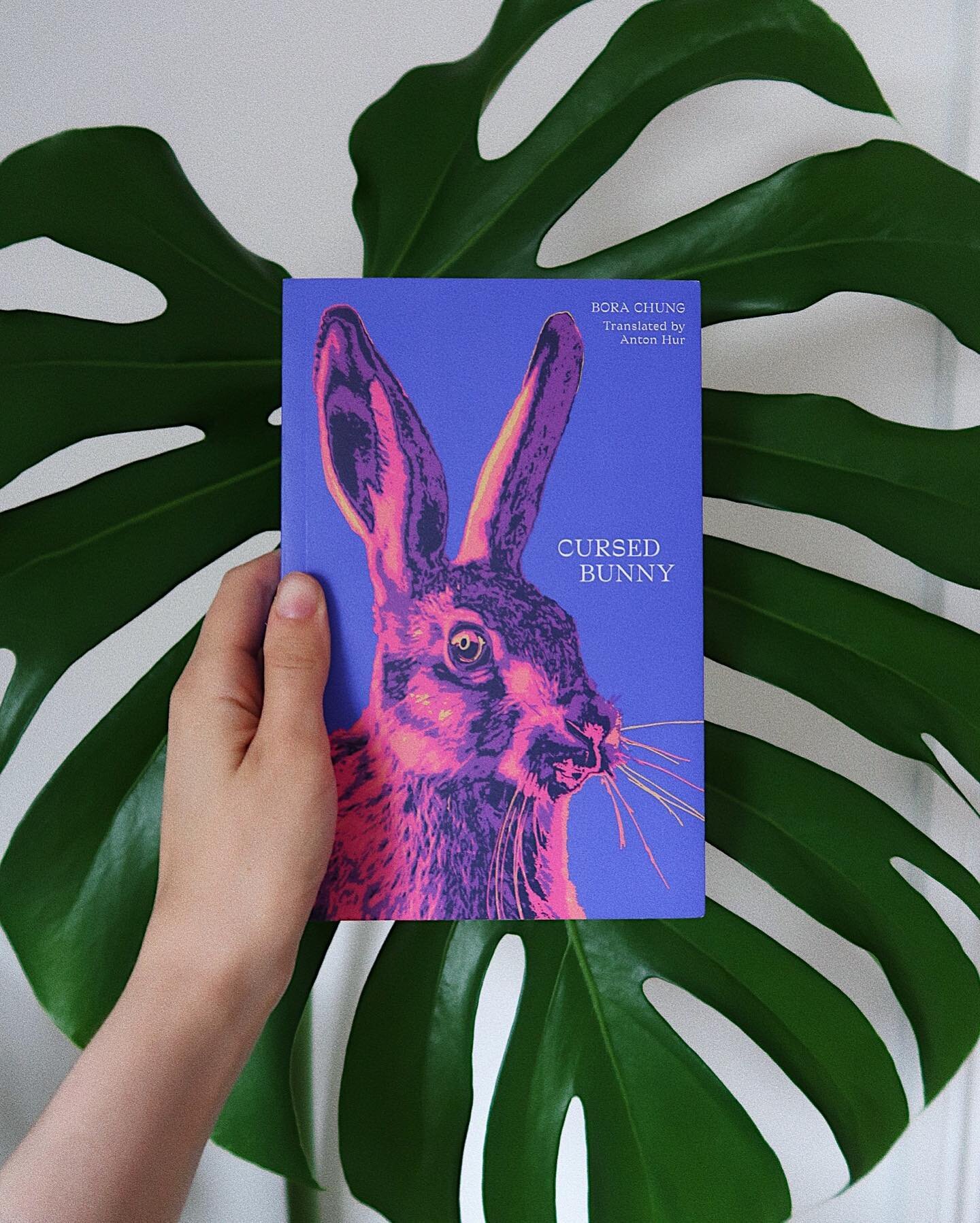Overall Cursed Bunny was an ok/lightly enjoyable read. Some short stories I really enjoyed, others I could take or leave. Which I guess is the nature of short story collections. I would be interested to read one of her full length novels but I&rsquo;