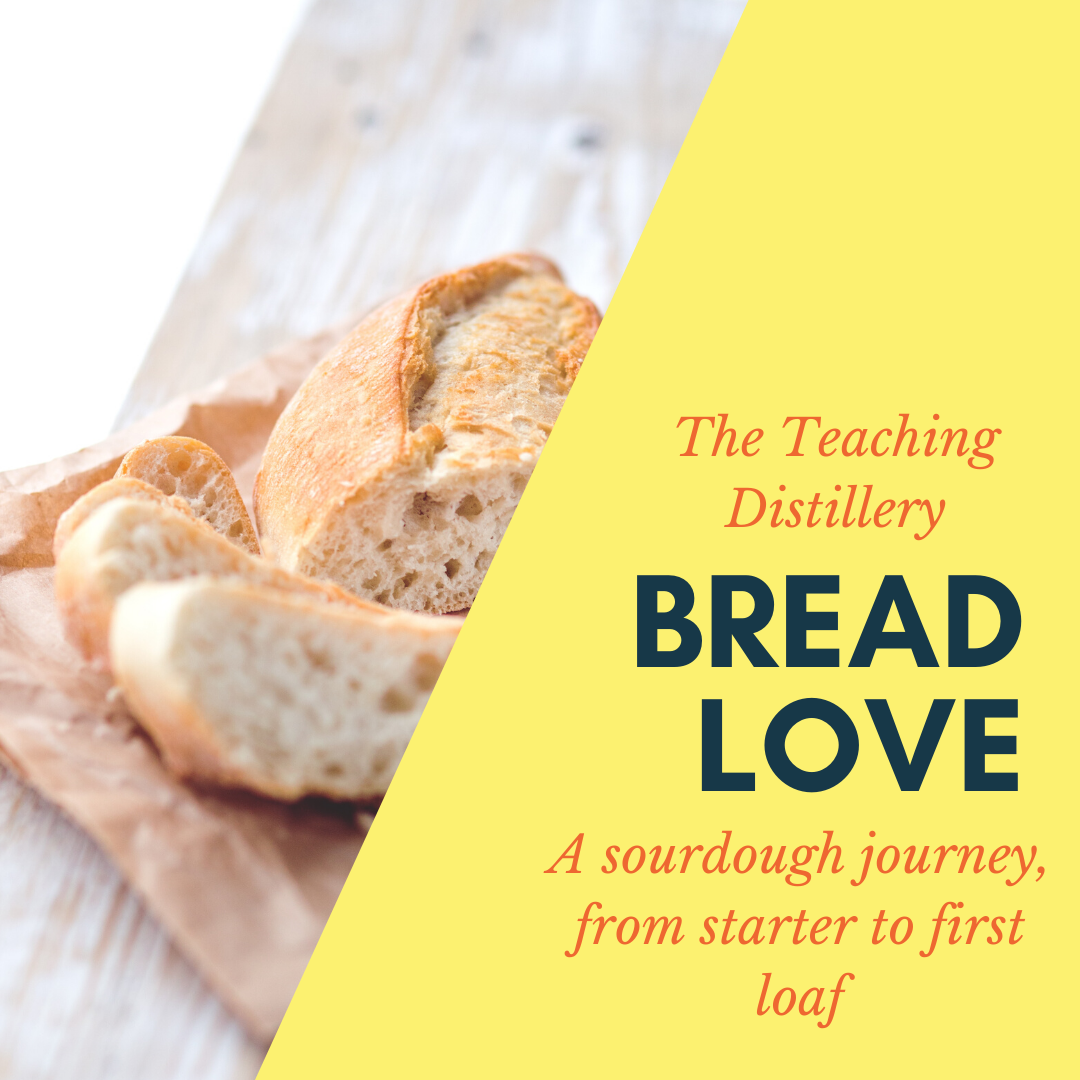 Bread Love: A Sourdough Journey from Starter to First Loaf