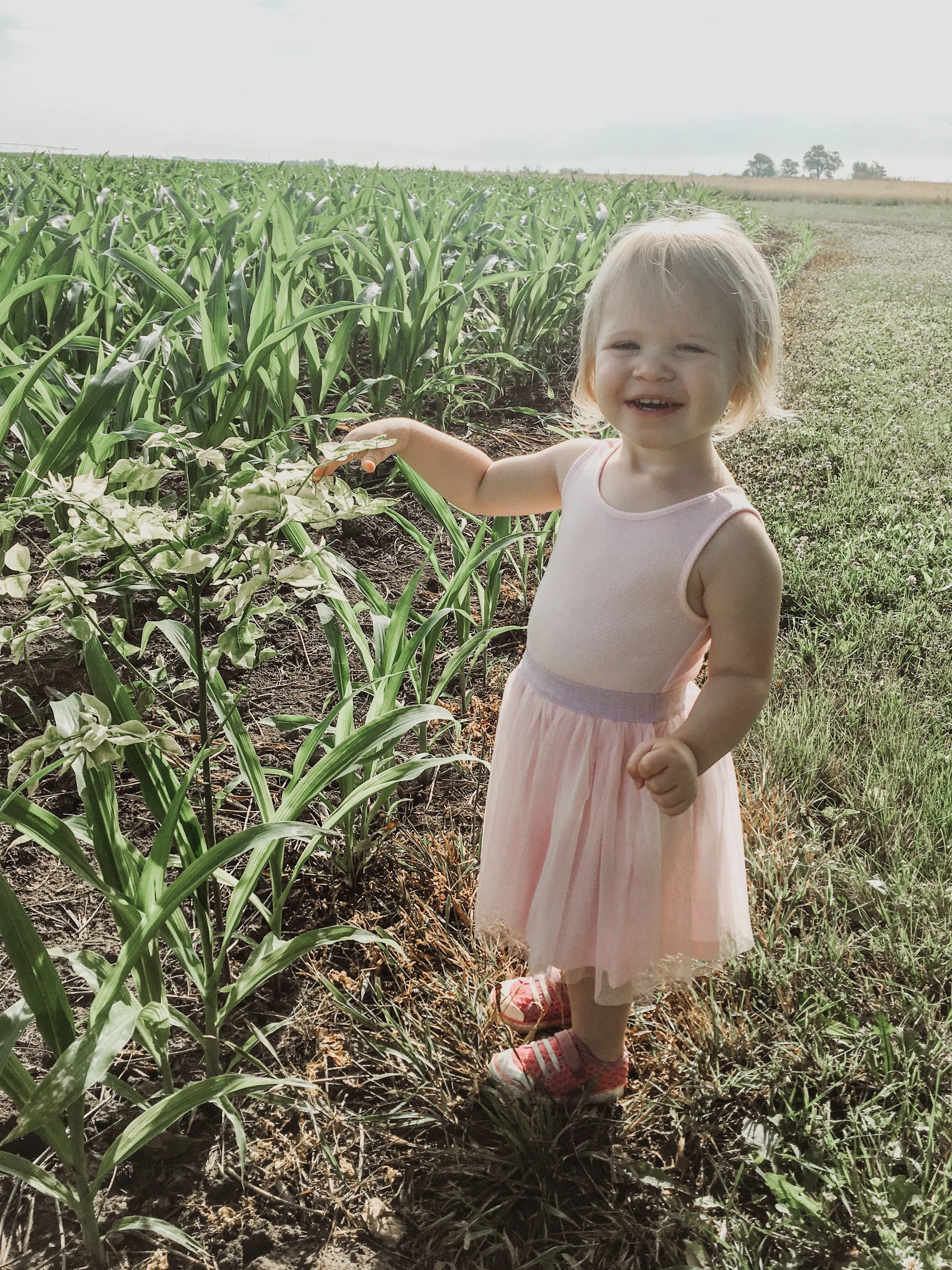 She loves what grows wild best.