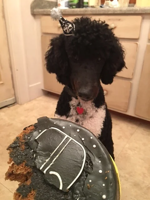 Vader and his cake 2.jpg