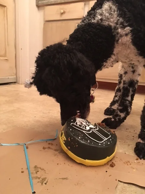 Vader and his cake.jpg