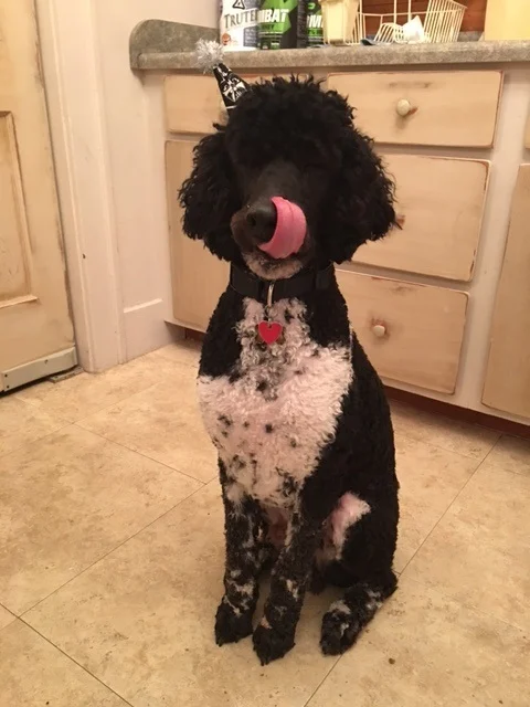 Vader's first birthday, ya'll!