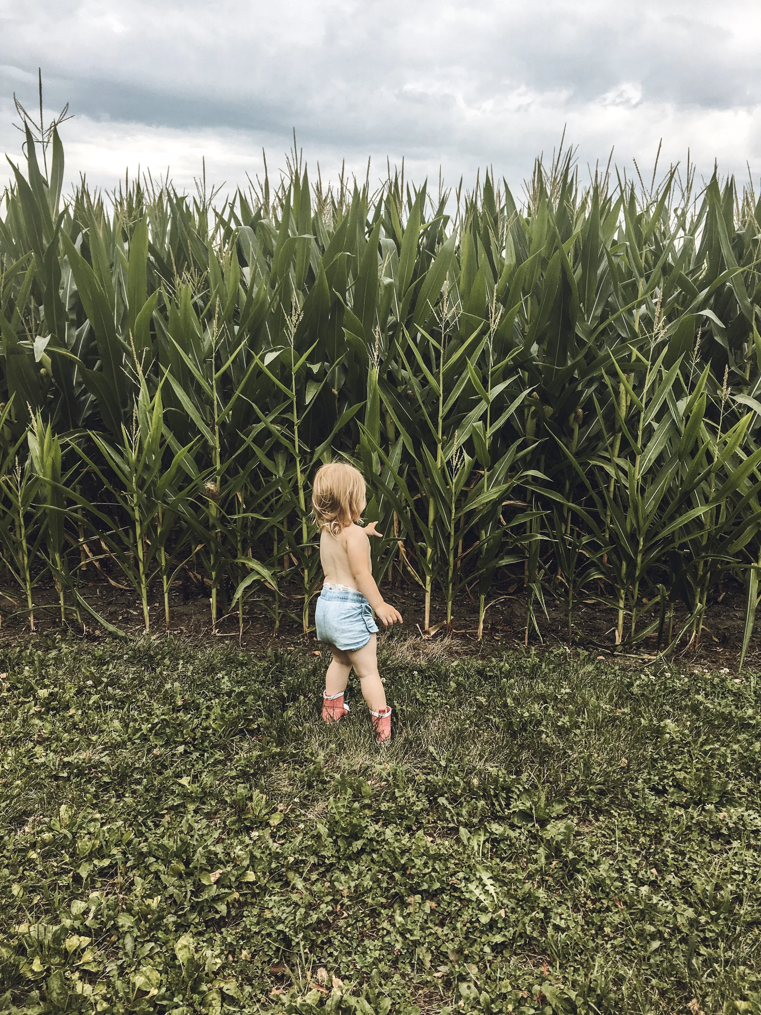 Watchin' My Corn Pop Up In Rows...