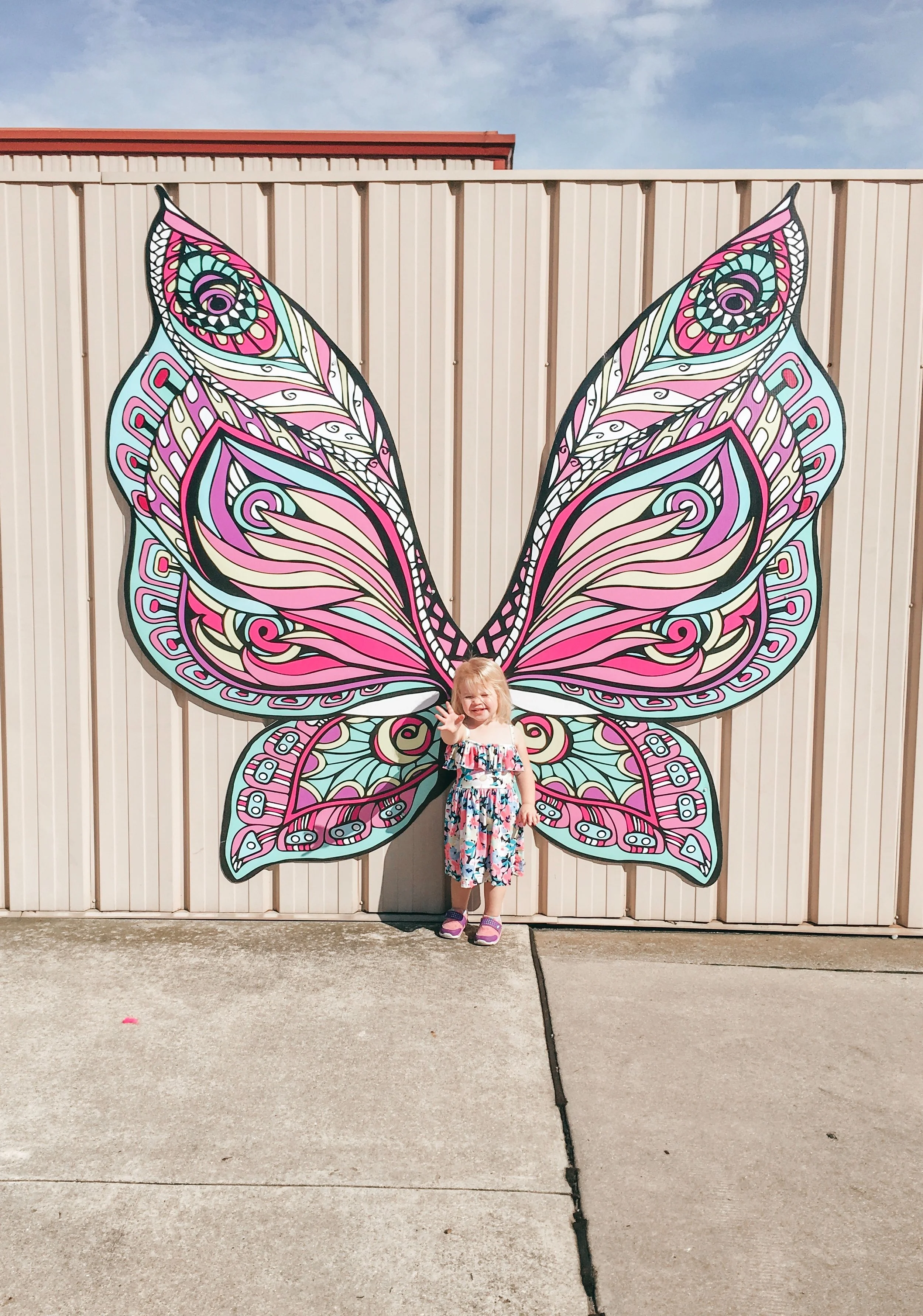 Whims to Wings