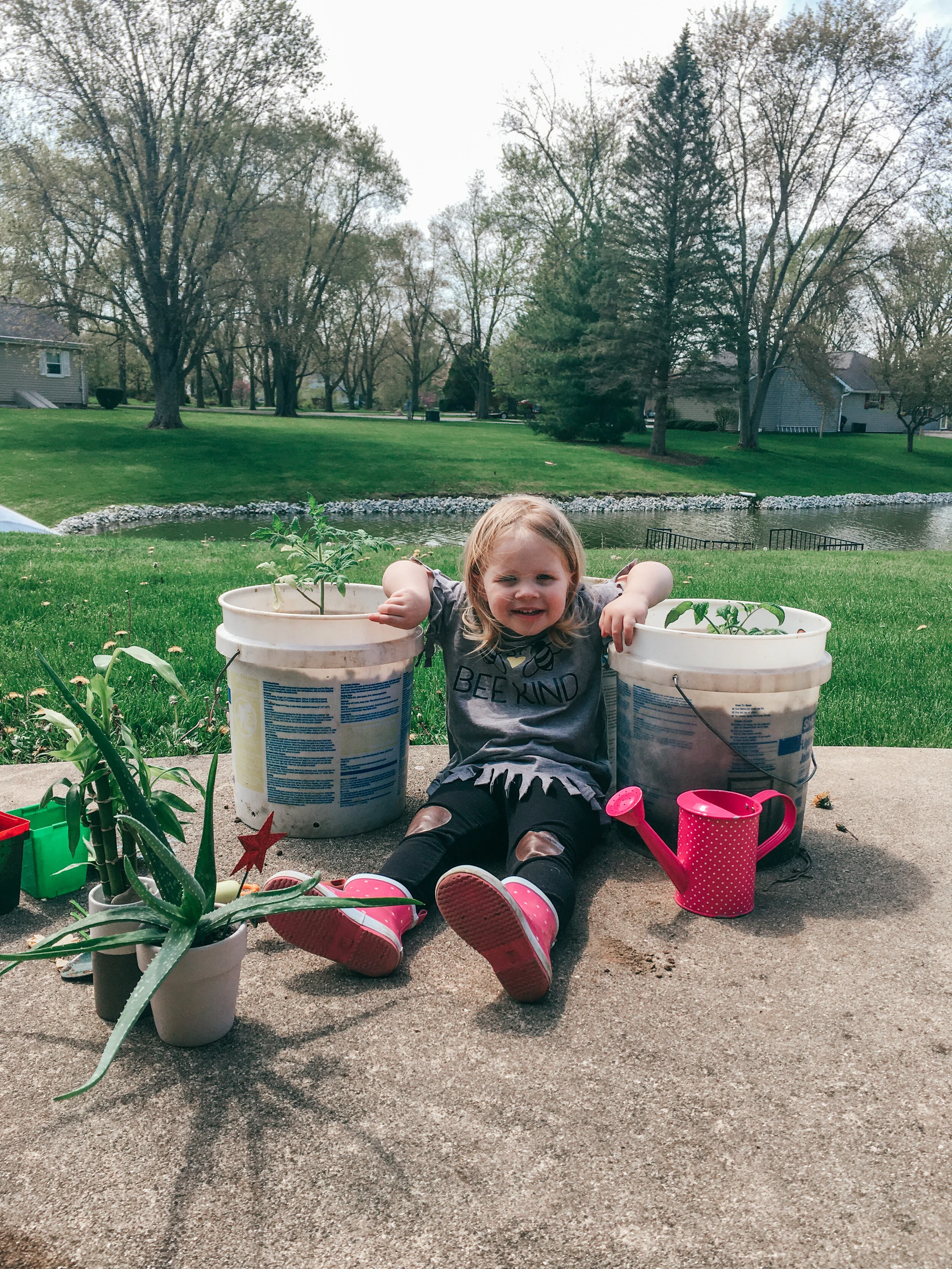 I love you a lily more each day