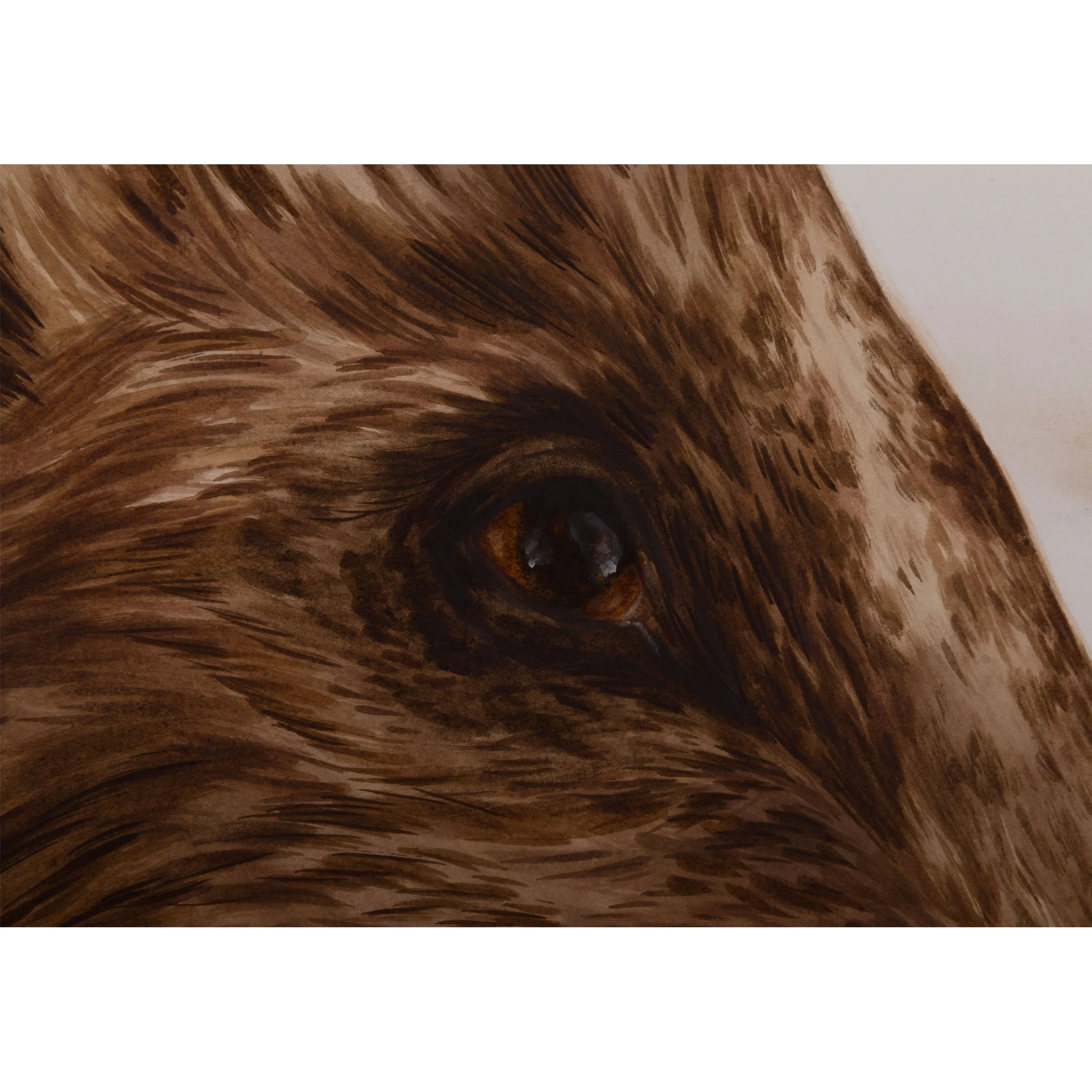bete noire no 2_sophie mcvicar tate_detail.jpg
