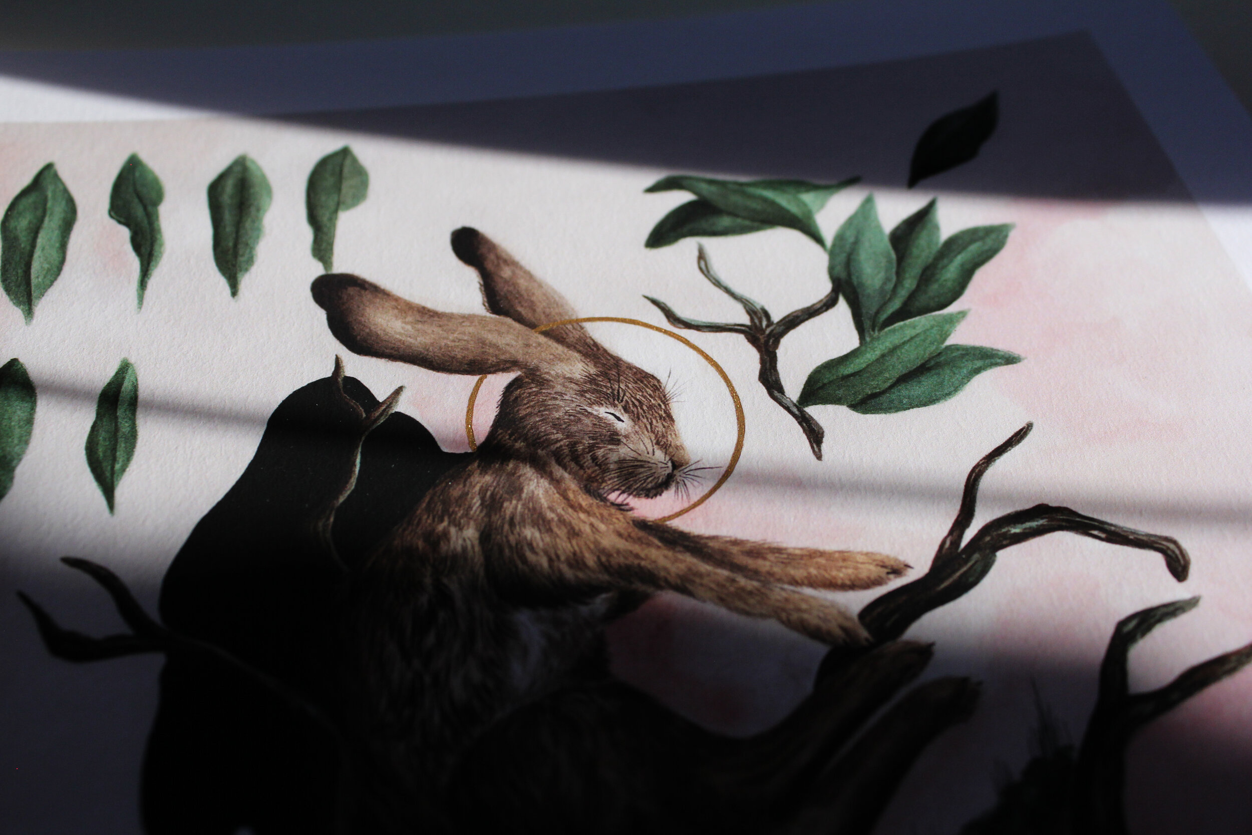 ephemeralcorpus_halodetail2_sophiemcvicar_happyspinach.jpg