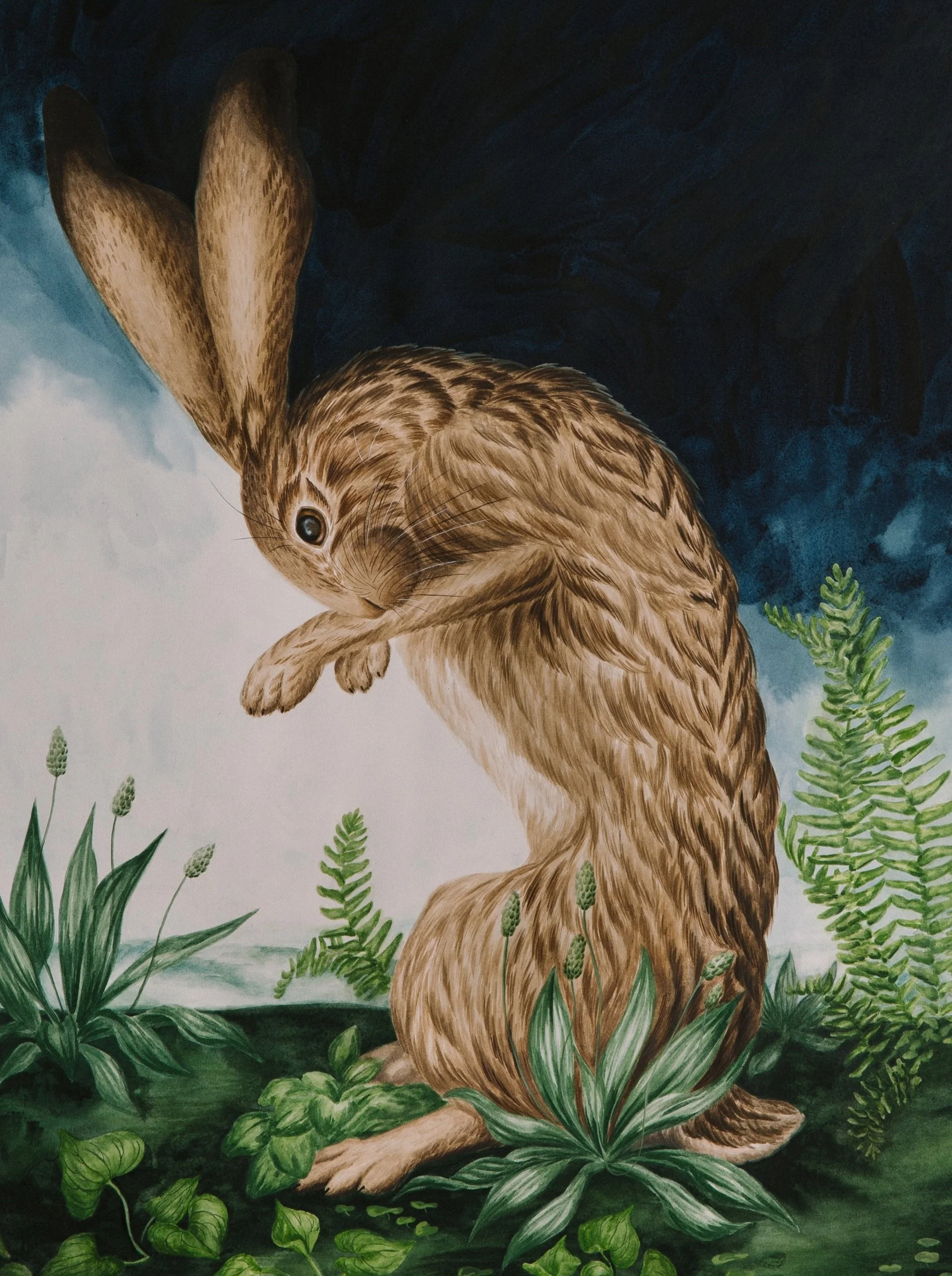 001merged002.jpg