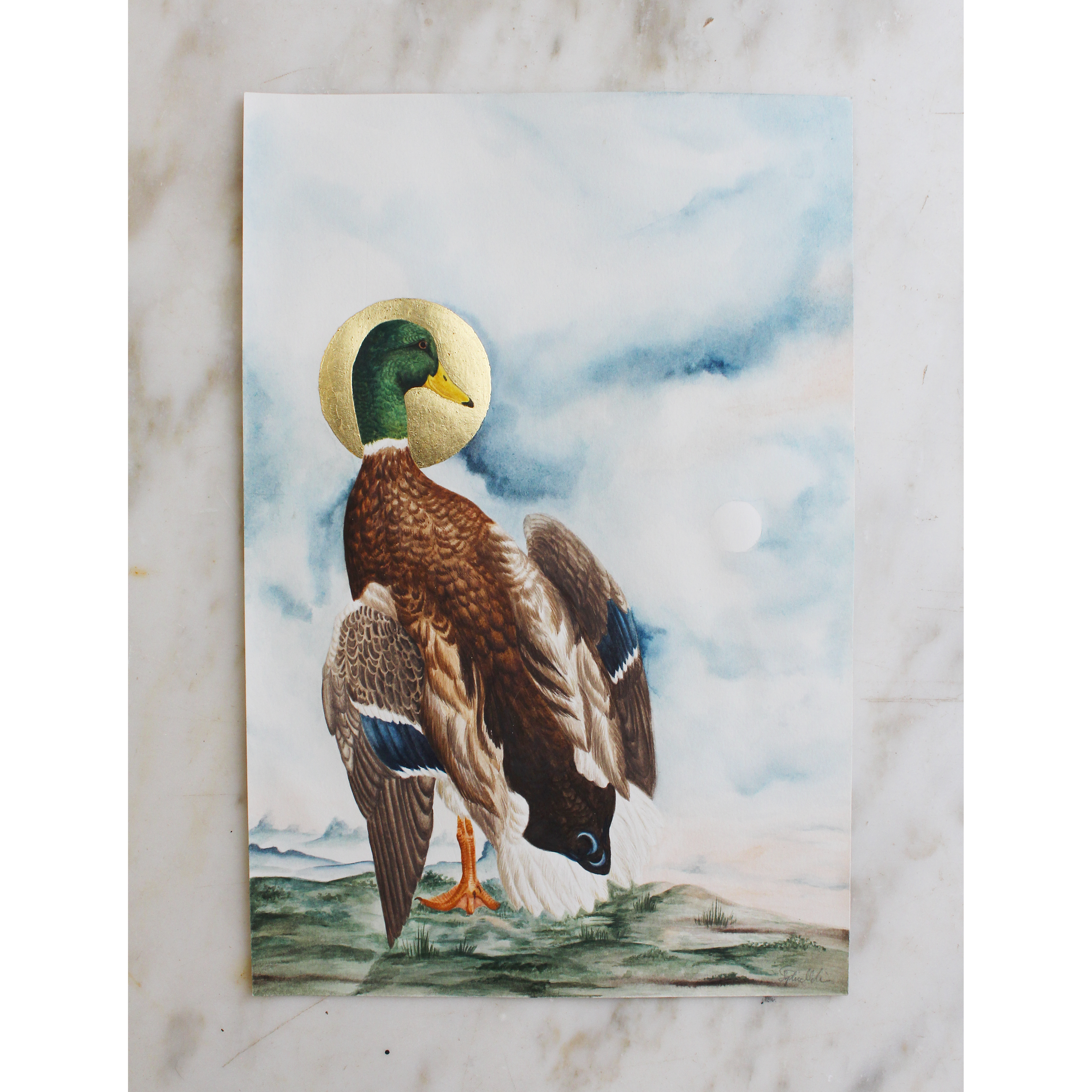 audubon thumbnail.png