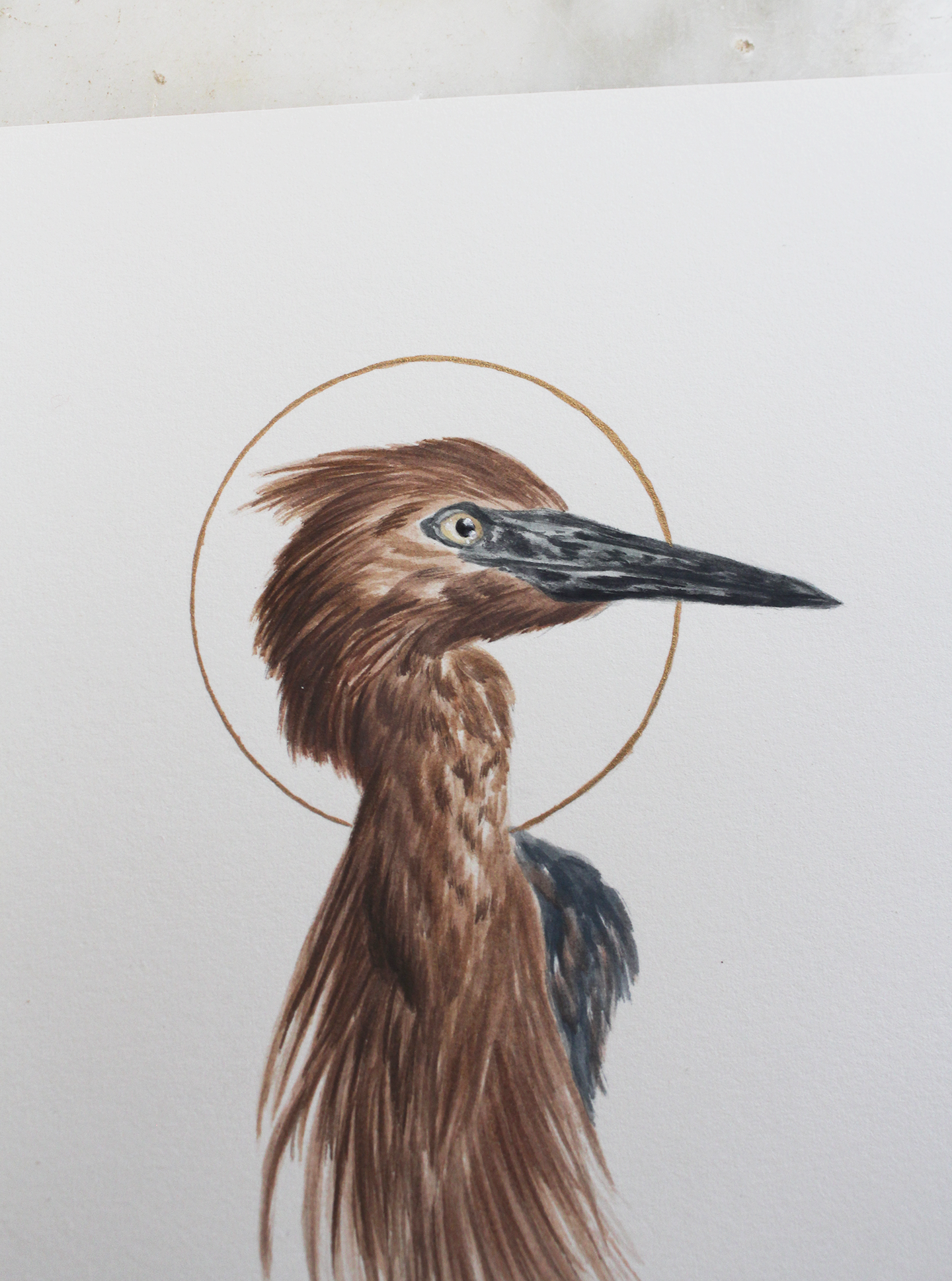 egret2.png