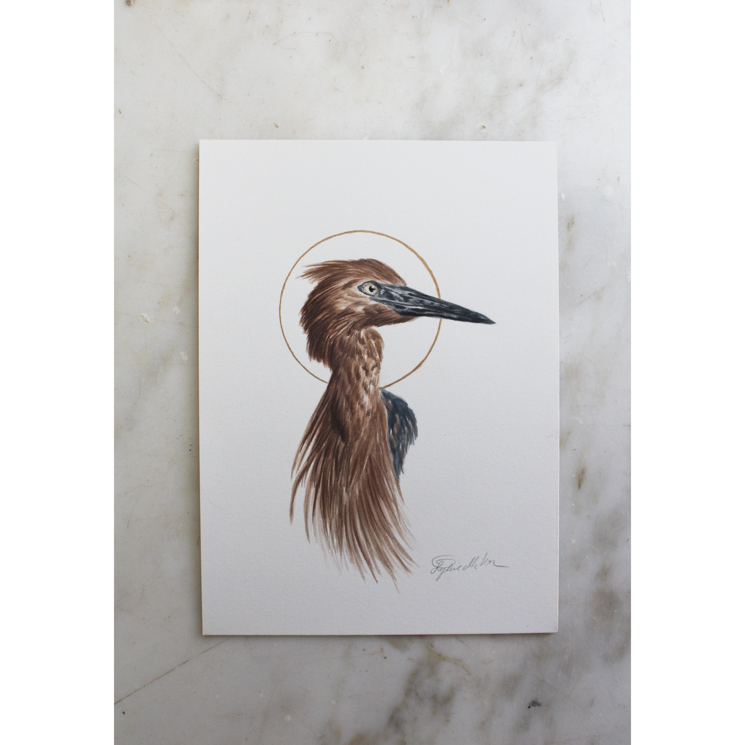 reddish egret thumbnail.png