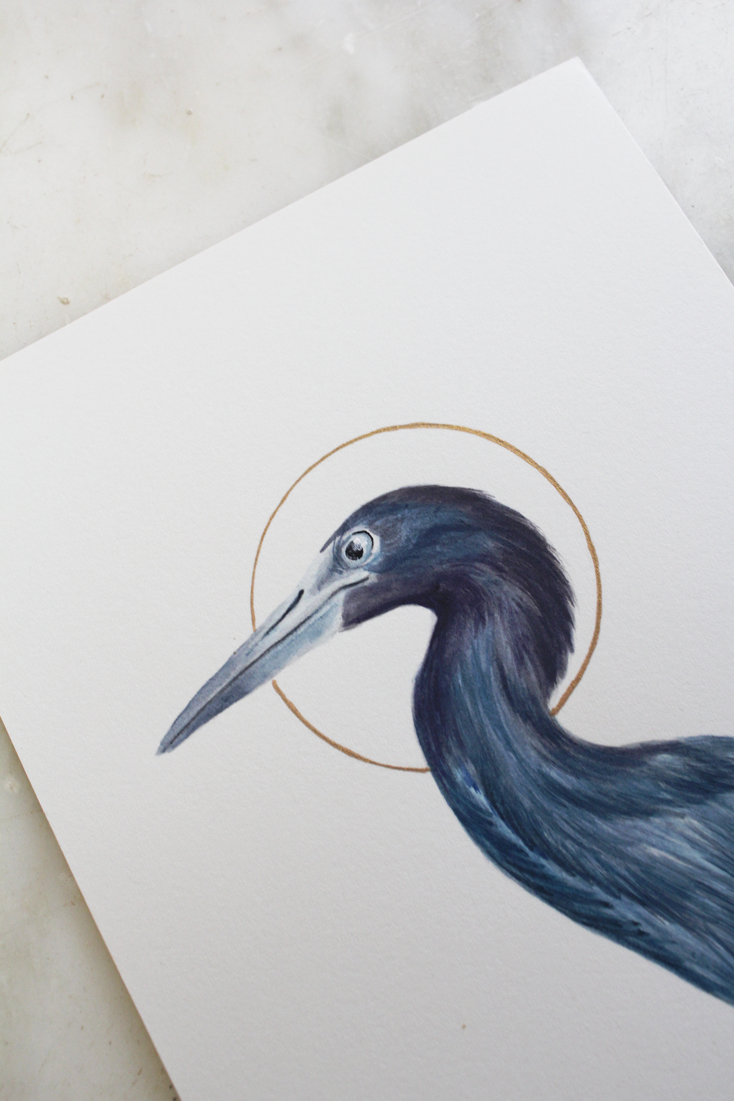blue heron detail2.png