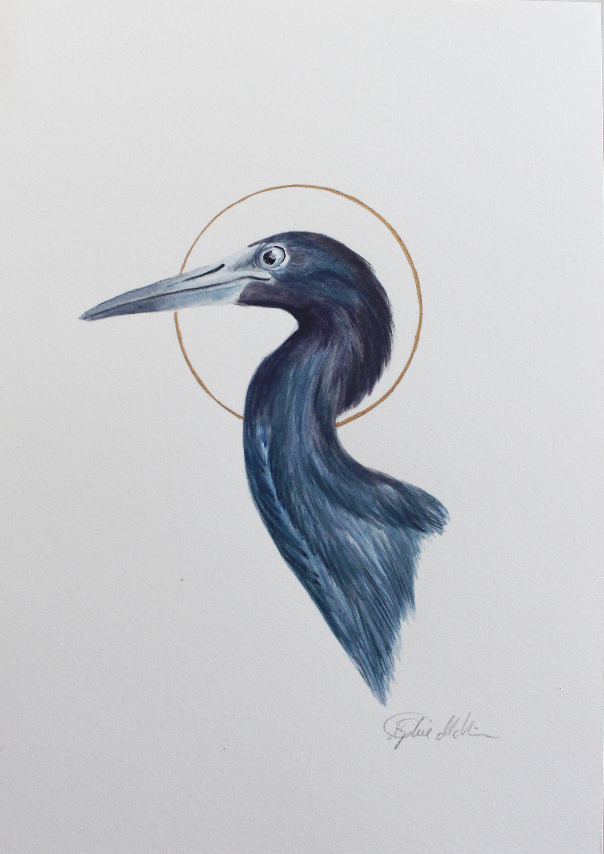 heron full.png