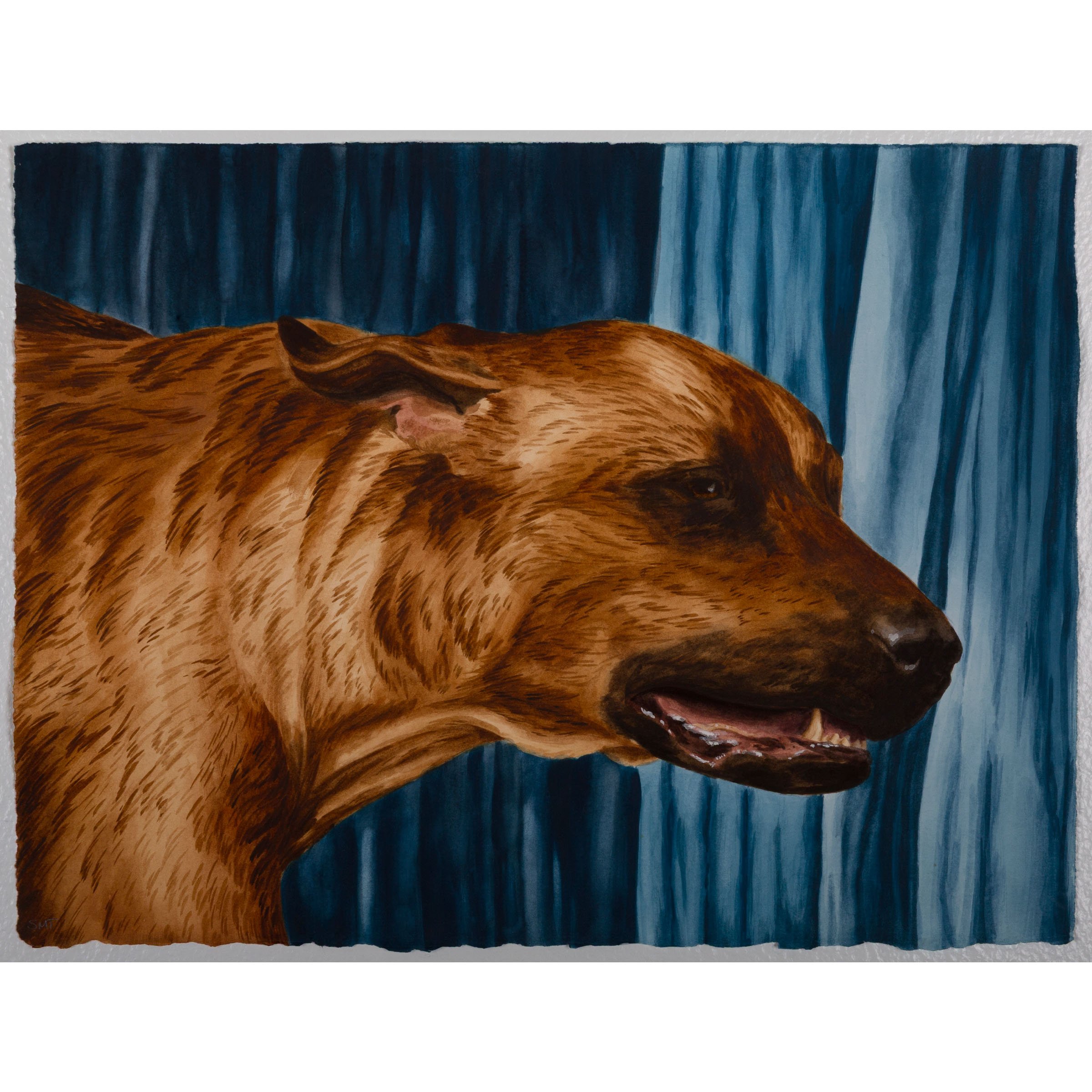 over the earth_sophie mcvicar tate.jpg