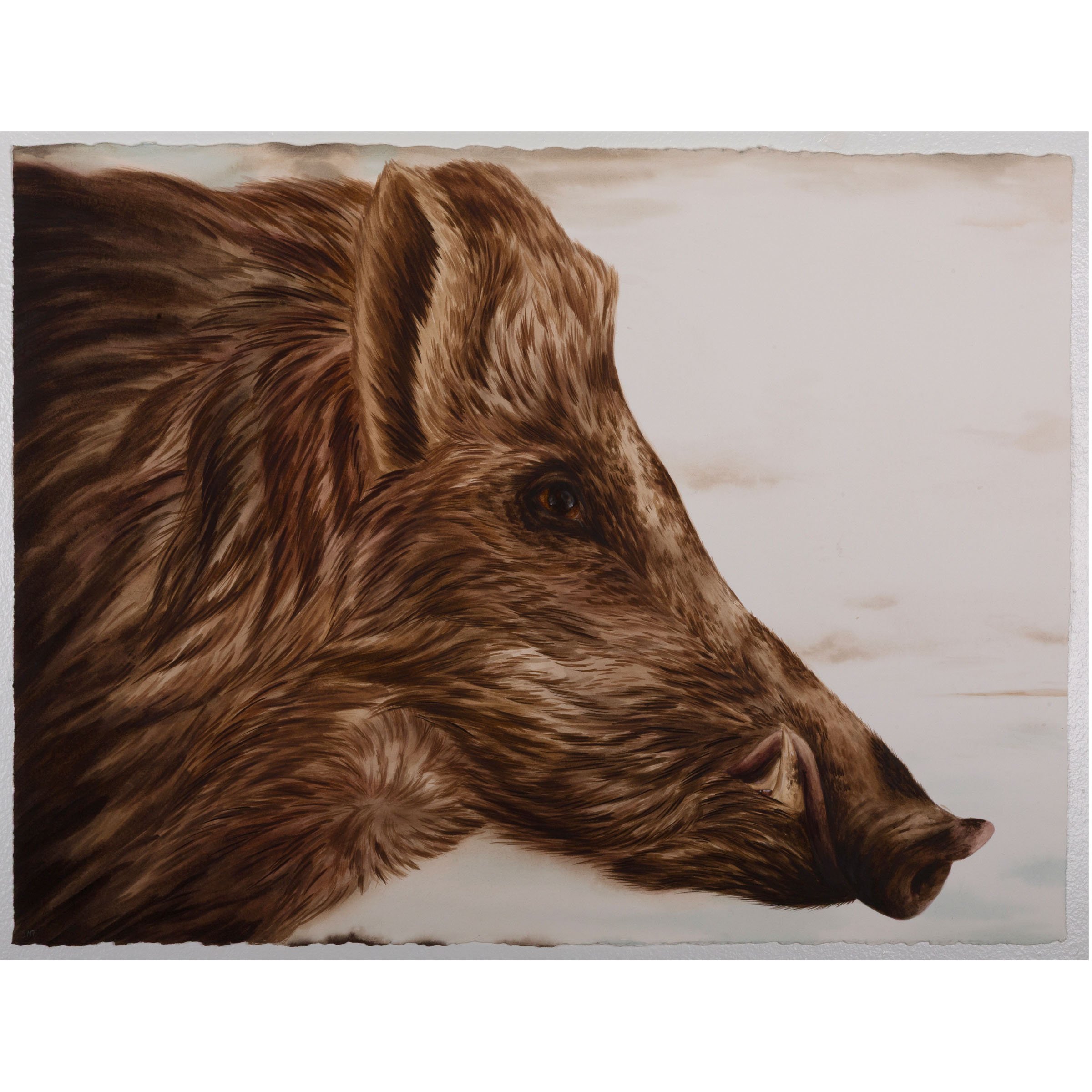bete noire no 2_sophie mcvicar tate.jpg