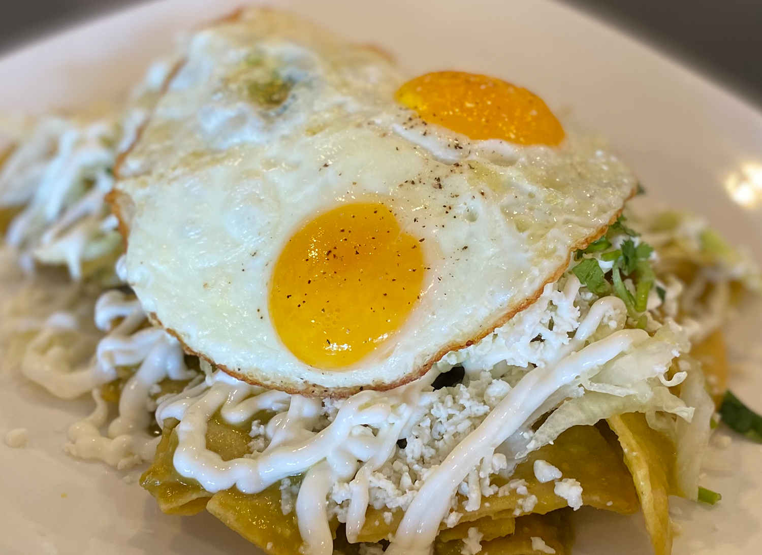 Chilaquiles - Gallery.png