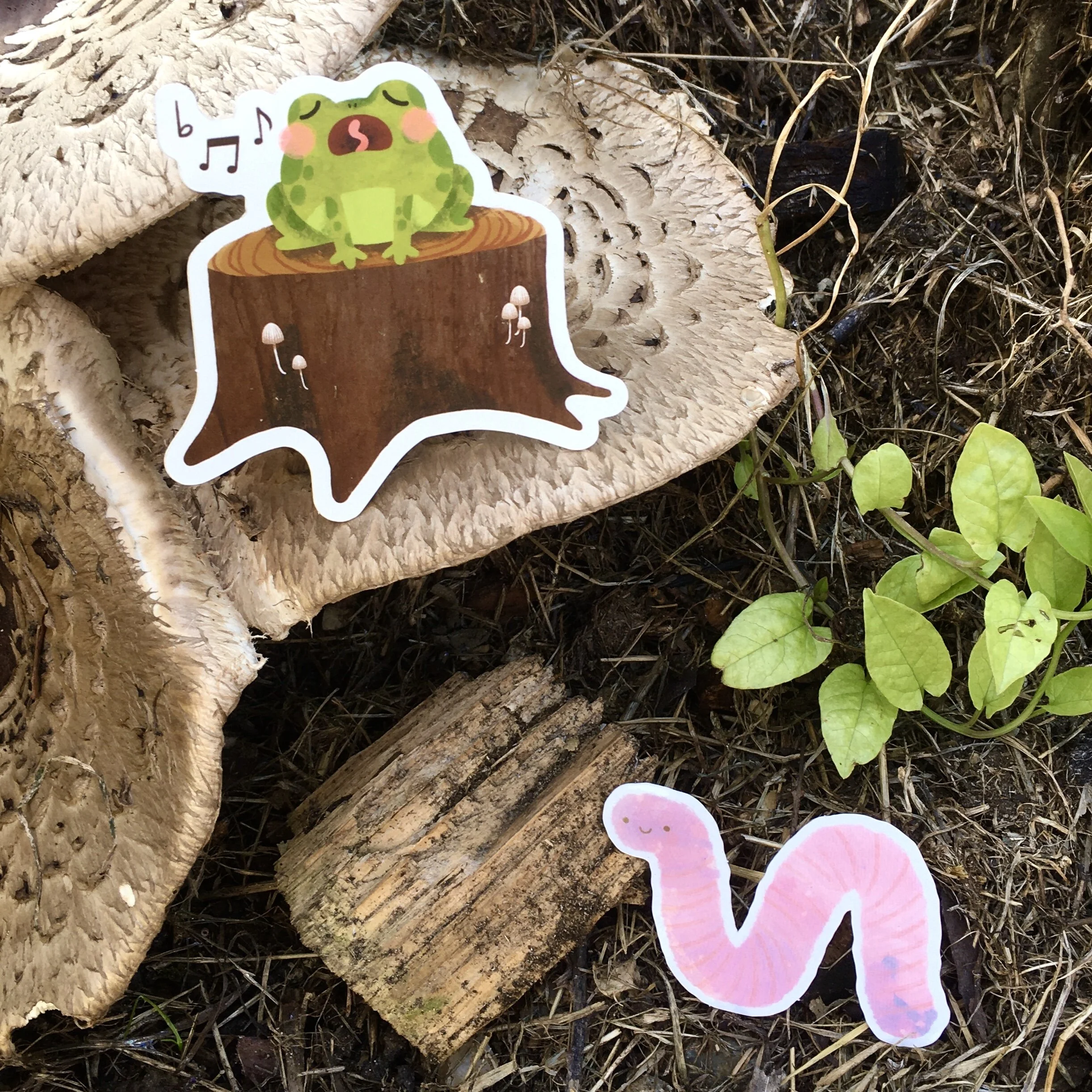 A6C4FB51-EB6B-4646-BD96-60D3404A7693