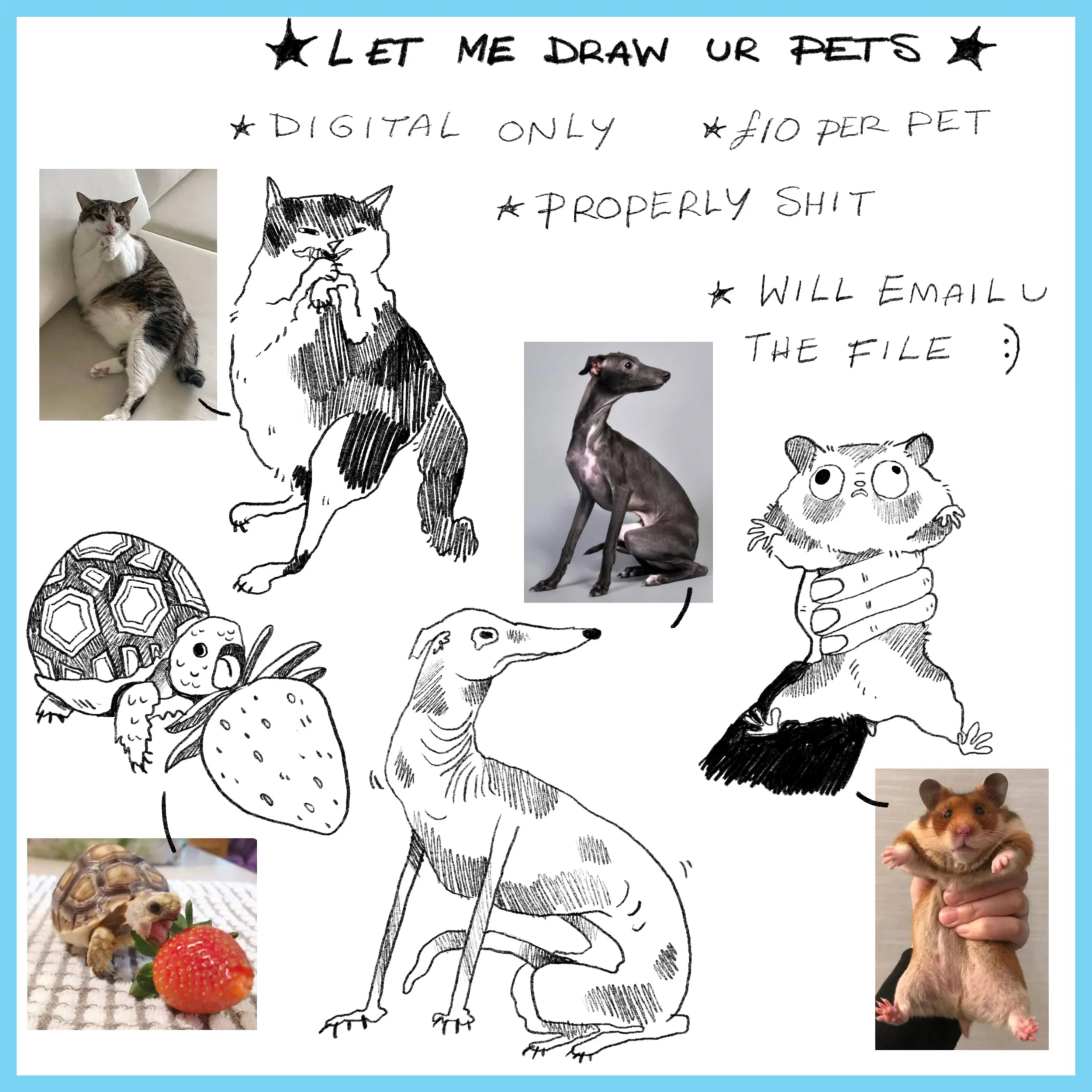 Properly Sh*t Pet Portraits