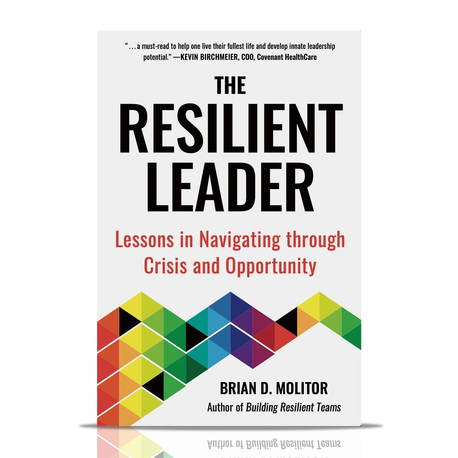 The Resilient Leader