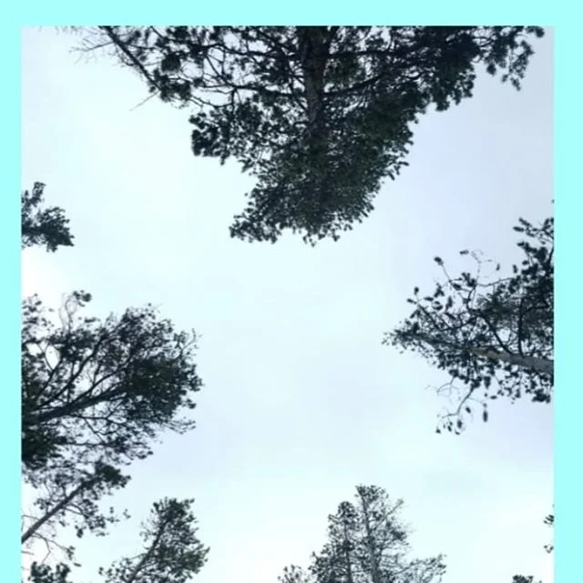 My husband Sam and I had so much fun camping last weekend we decided we want to do it every weekend!

But after waking up in the snow we decided we should check the weather &amp; make decisions based on that. 
But I'm so proud of us for getting out o