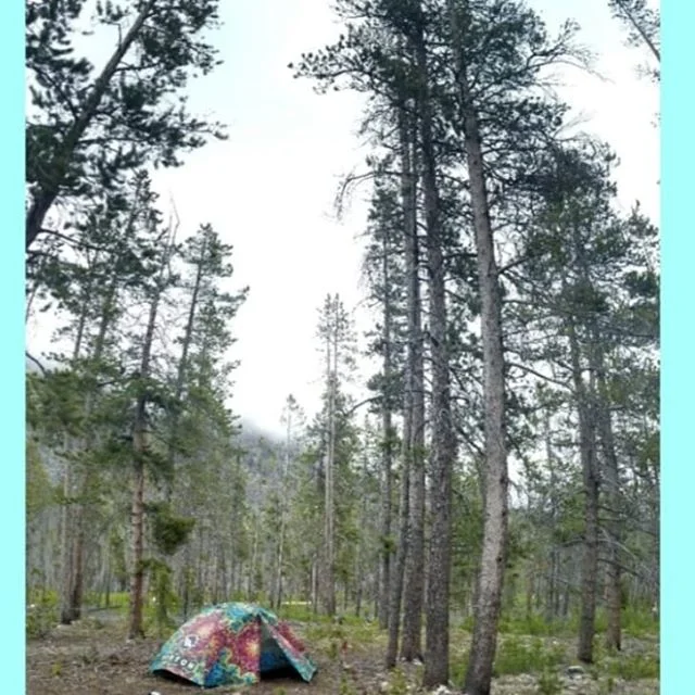 My husband Sam and I had so much fun camping last weekend we decided we want to do it every weekend!

But after waking up in the snow we decided we should check the weather &amp; make decisions based on that. 
But I'm so proud of us for getting out o