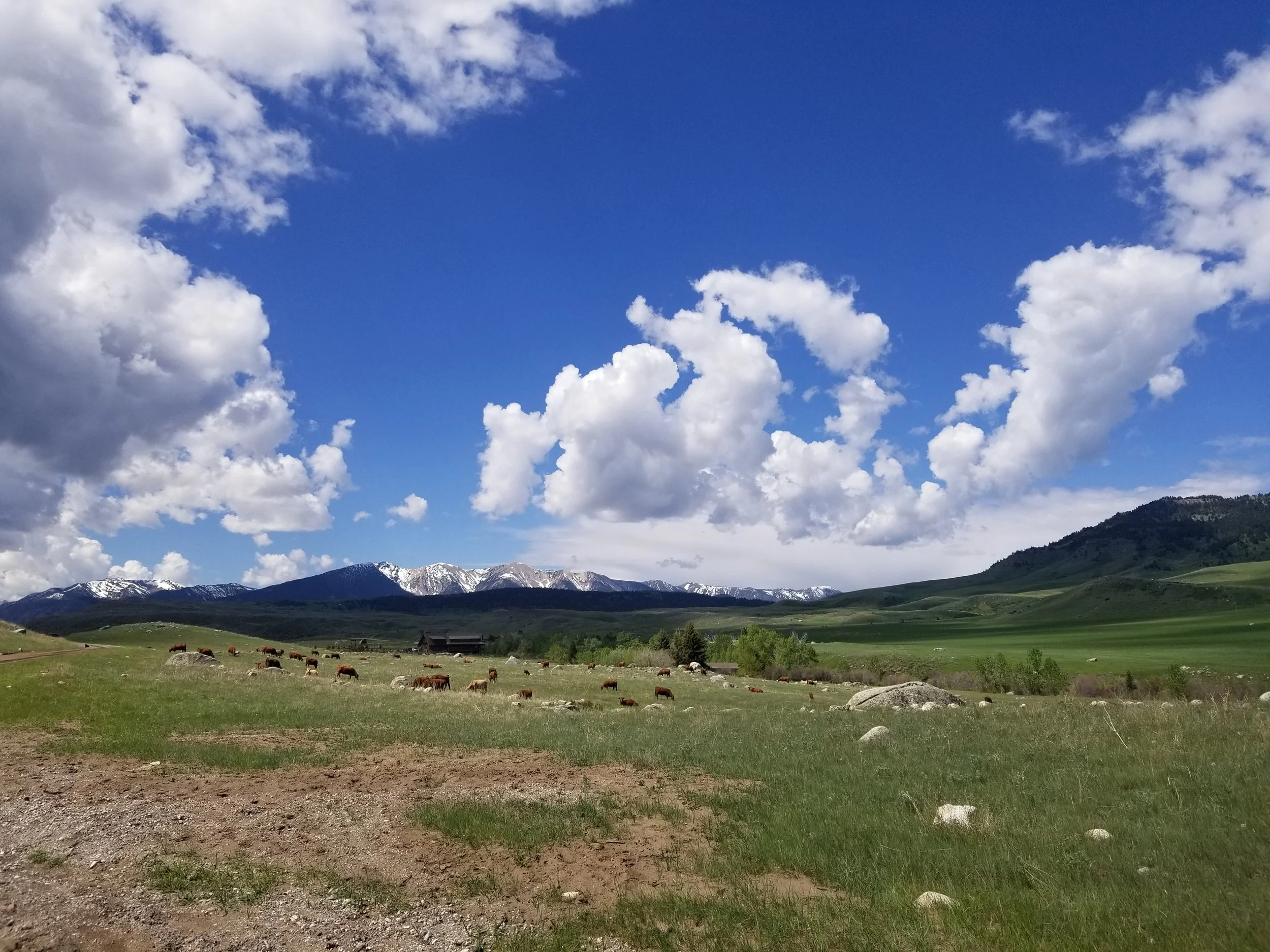 Keep Stress At Bay in an Unpredictable World By Using These Simple Tips