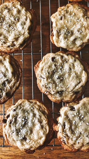 F0D81EA6-45DD-4BE5-88C6-40BE2E6600C5 (1).JPG