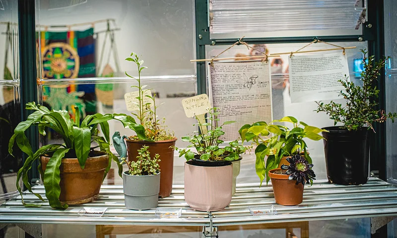 Agrarianaa @ SOMArts Literary Reading, Plant Swap &amp; Closing Reception